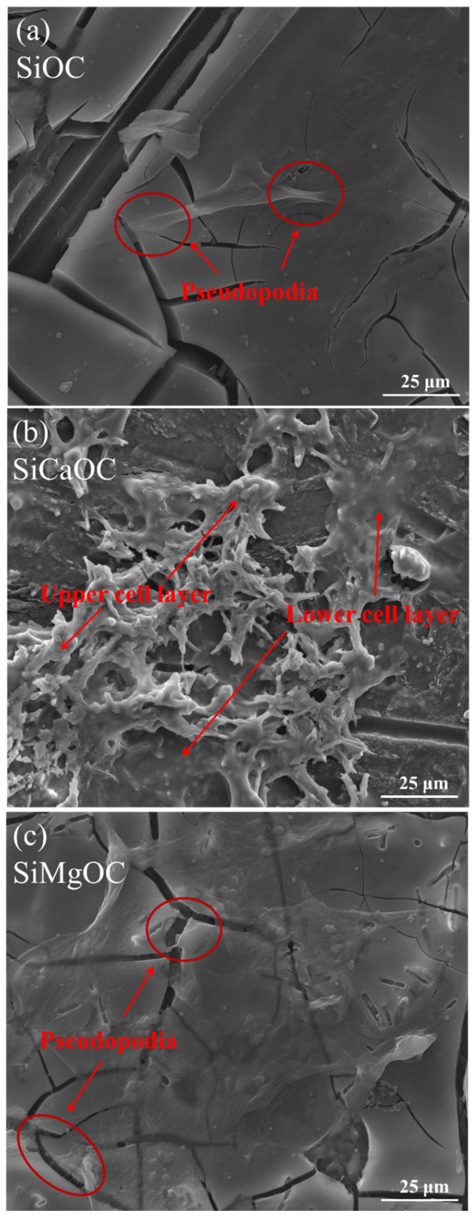 Materials 17 06159 g009