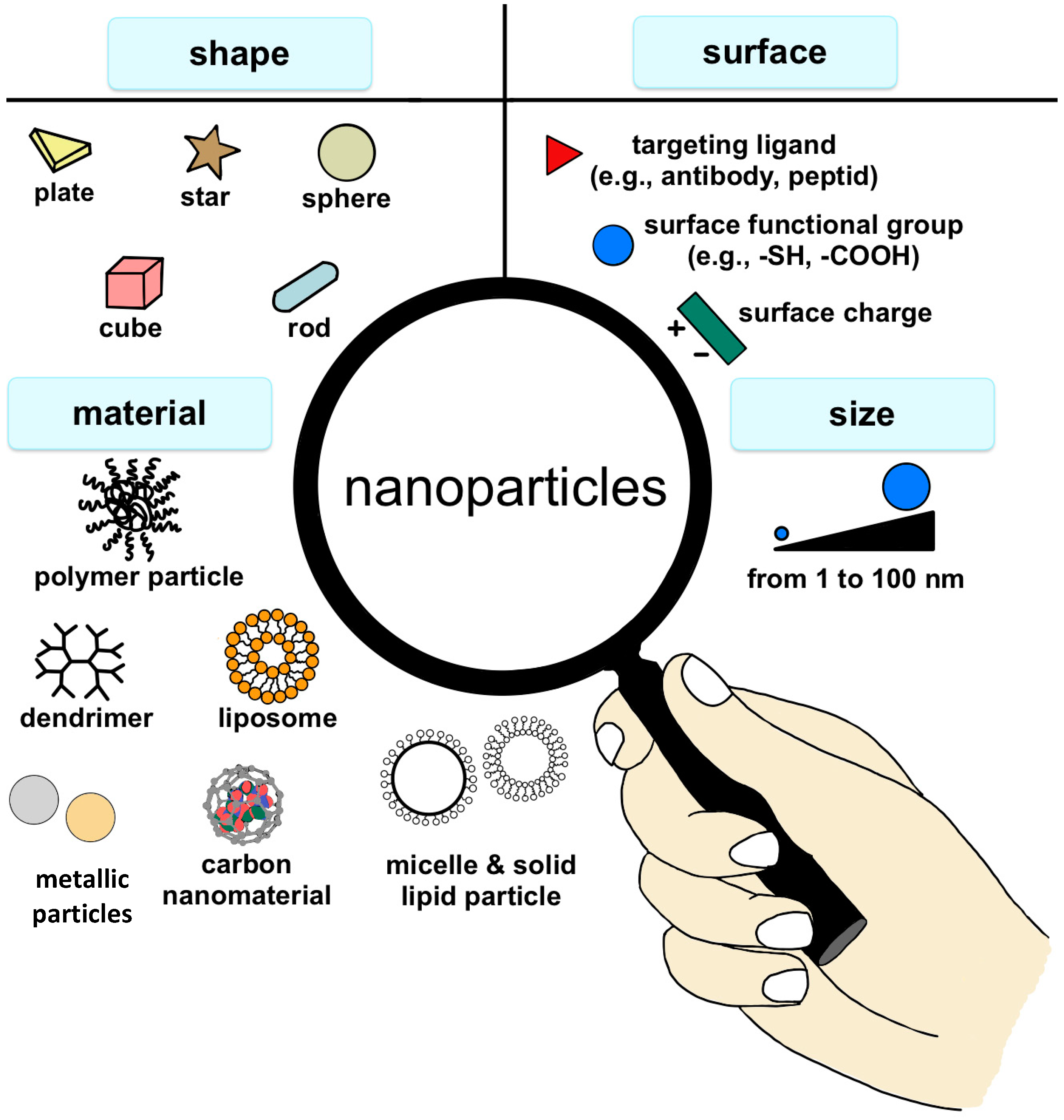 Materials 17 06162 g001 Materials 17 06162 g001