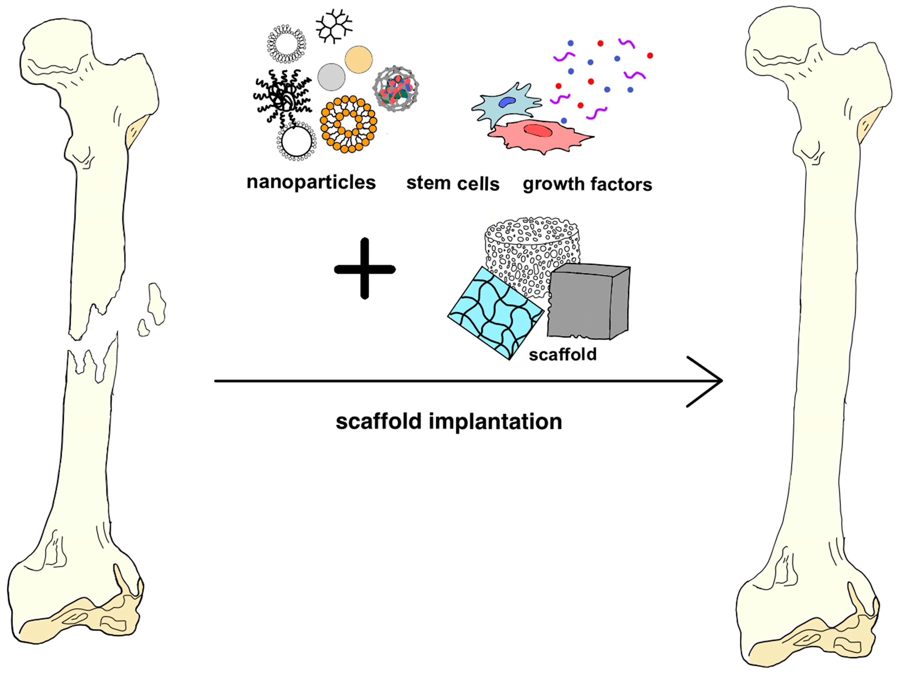 Materials 17 06162 g003 Materials 17 06162 g003