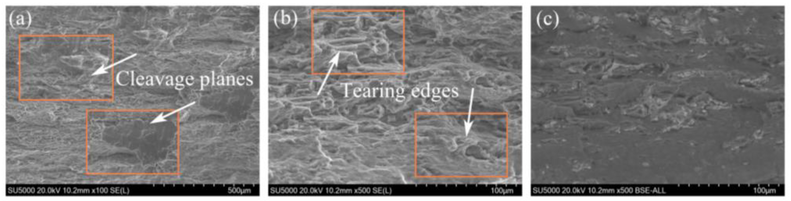 Materials 17 06166 g006