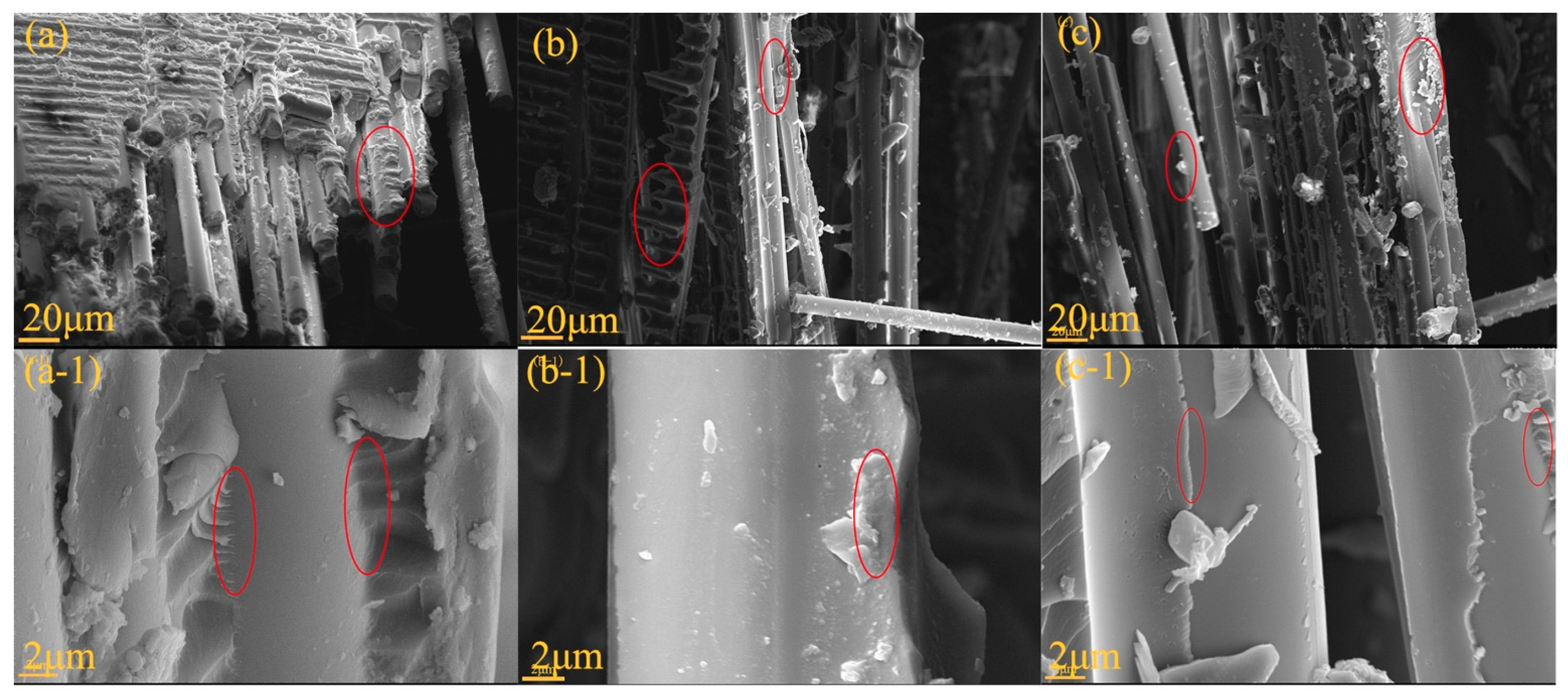 Materials 17 06167 g011