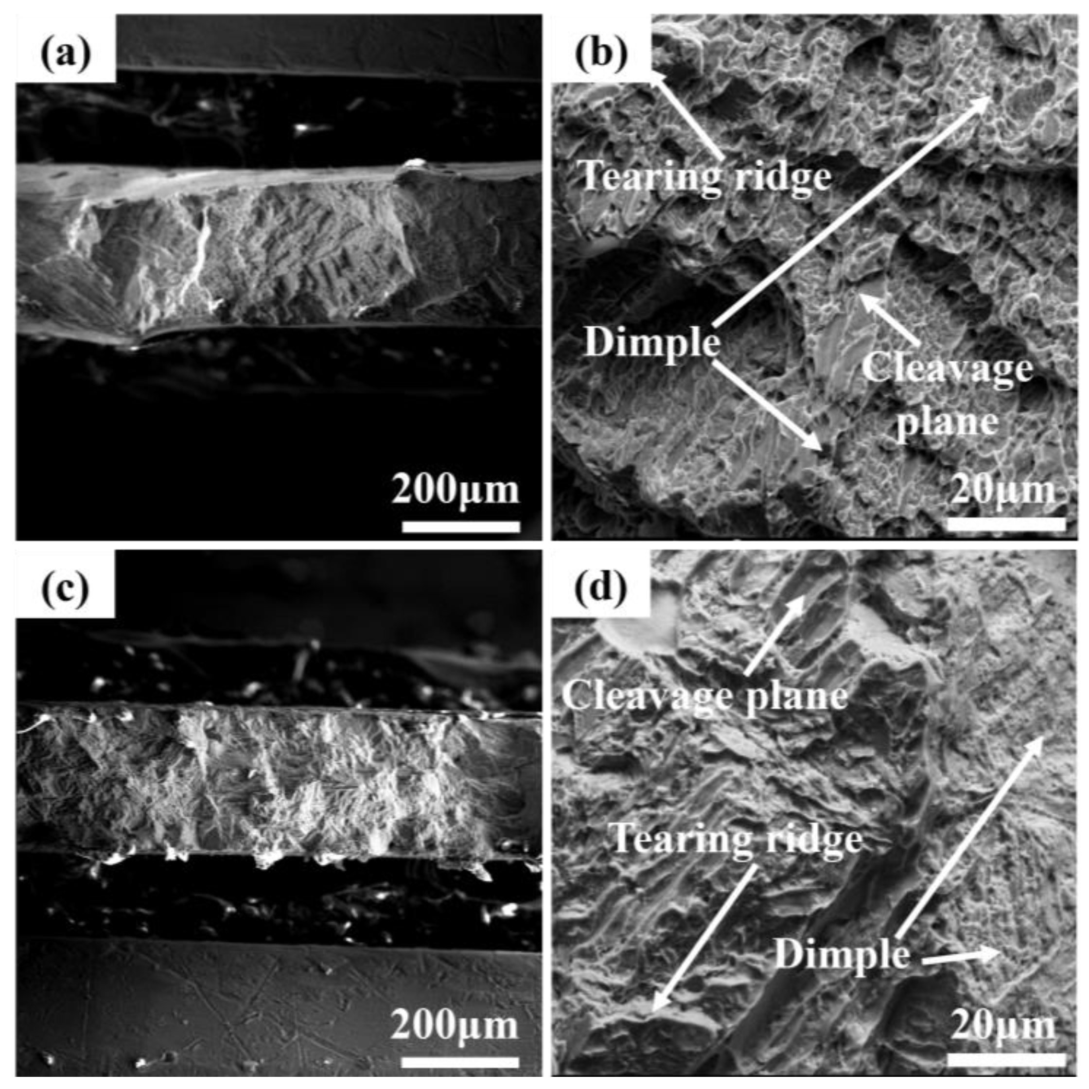 Materials 17 06176 g010