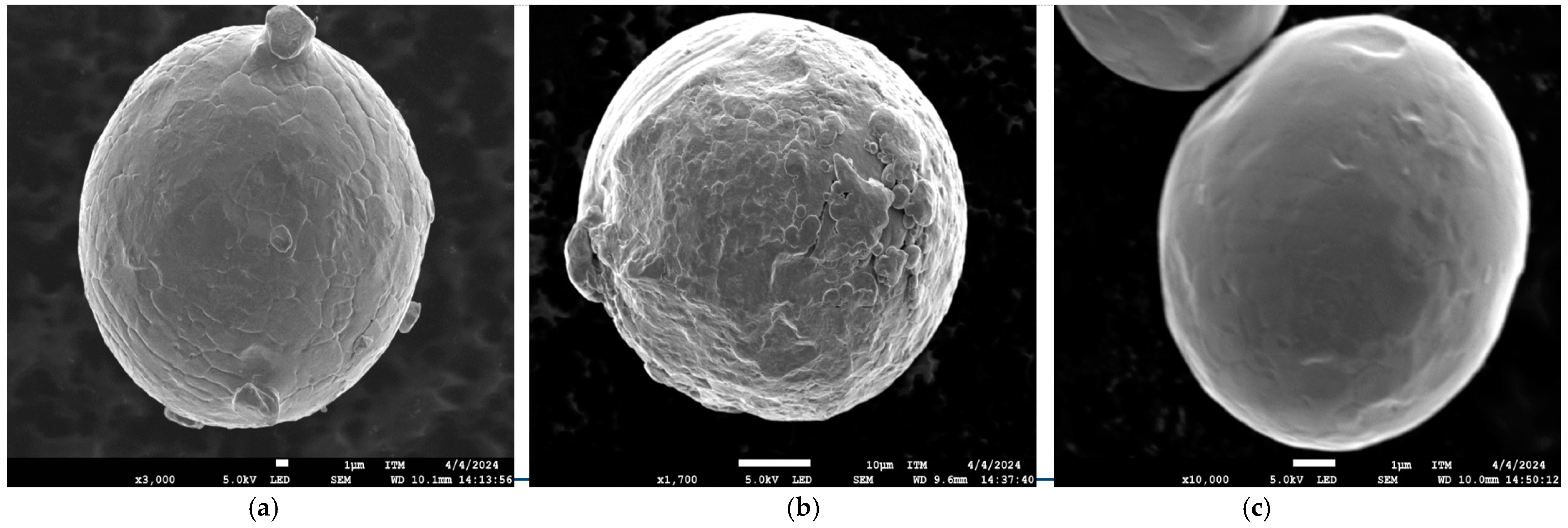 Materials 17 06184 g002