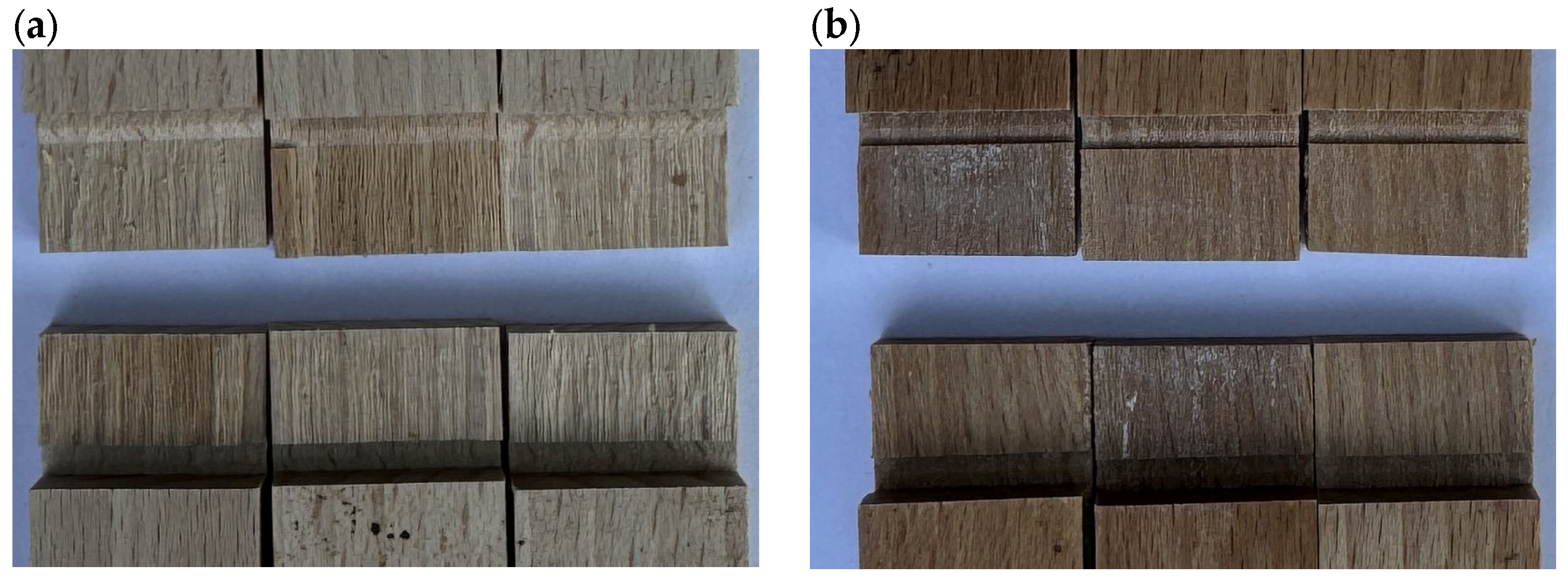 Materials 17 06212 g004a Materials 17 06212 g004a
