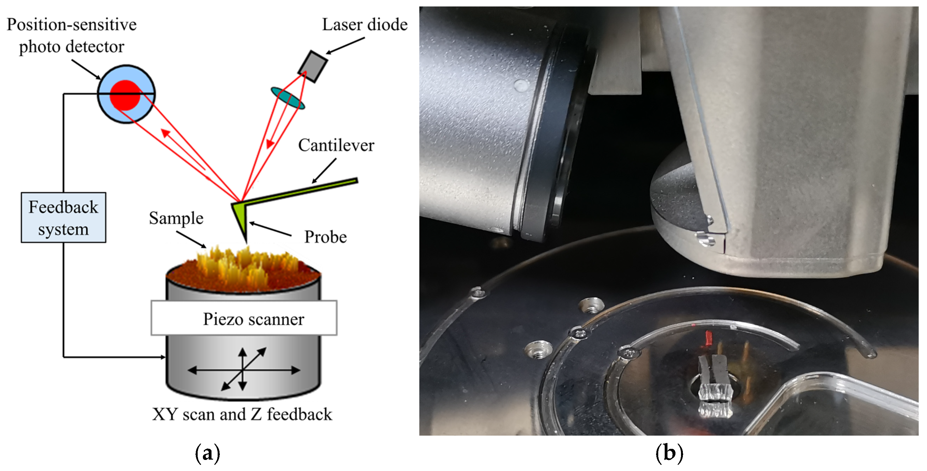 Materials 17 06216 g004