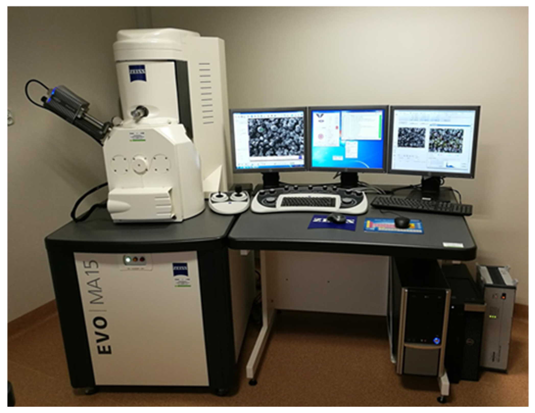 Materials 17 06219 g002