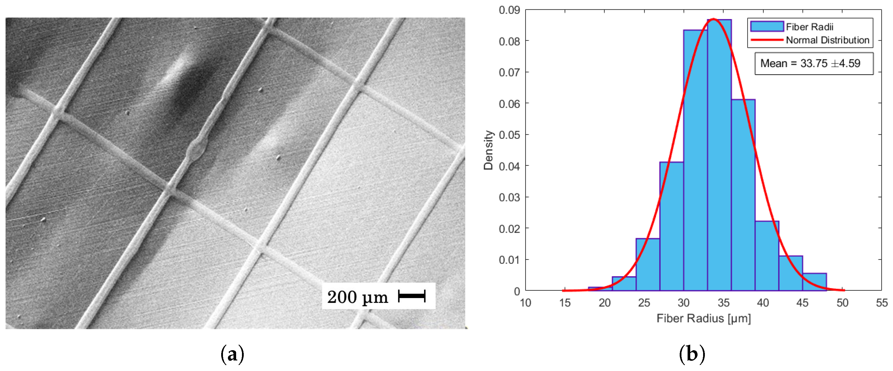 Materials 17 06242 g004