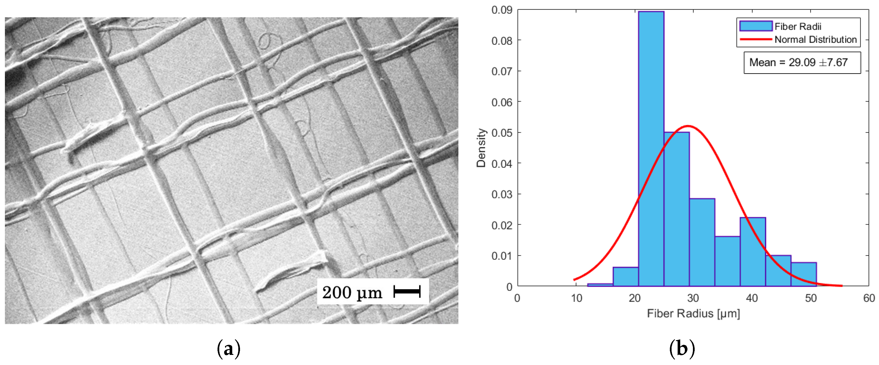 Materials 17 06242 g006