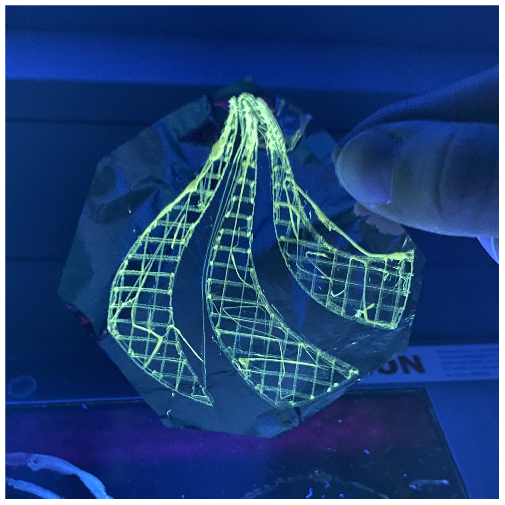 Materials 17 06242 g007