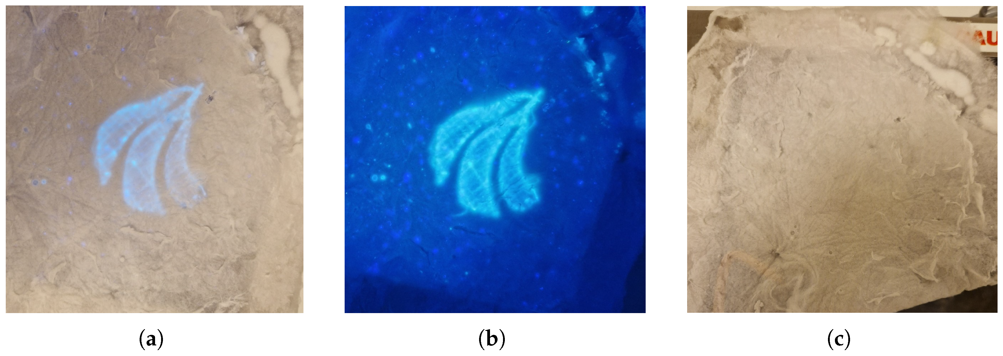 Materials 17 06242 g008