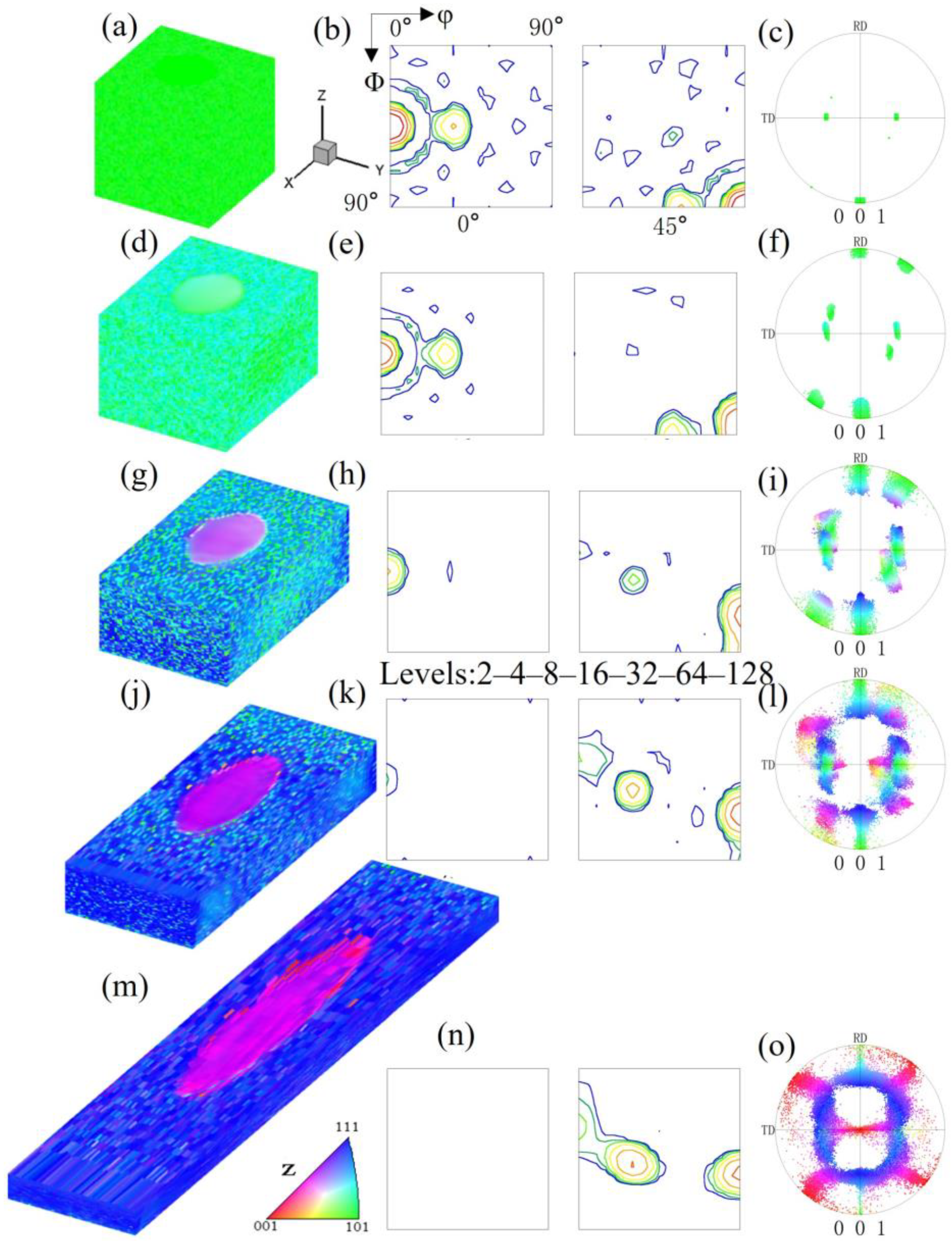 Materials 17 06276 g007