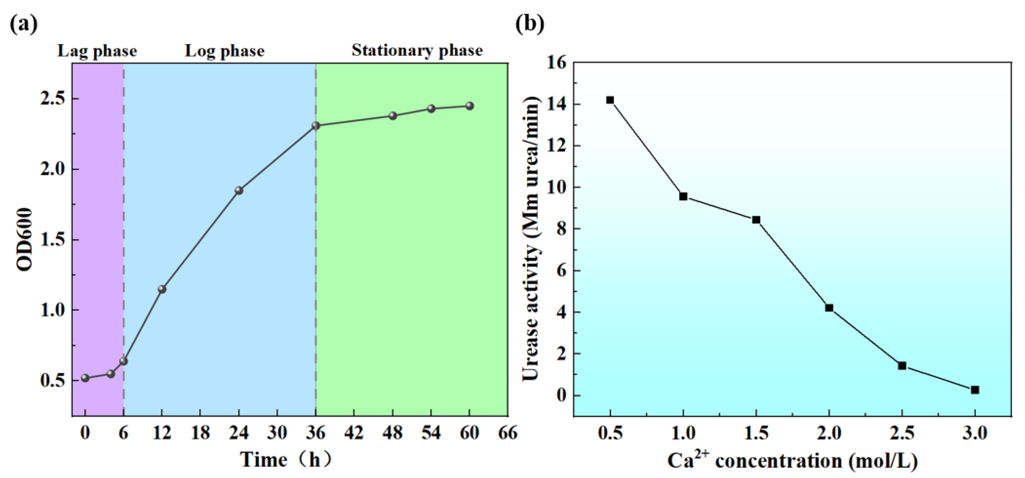 Materials 17 06283 g004