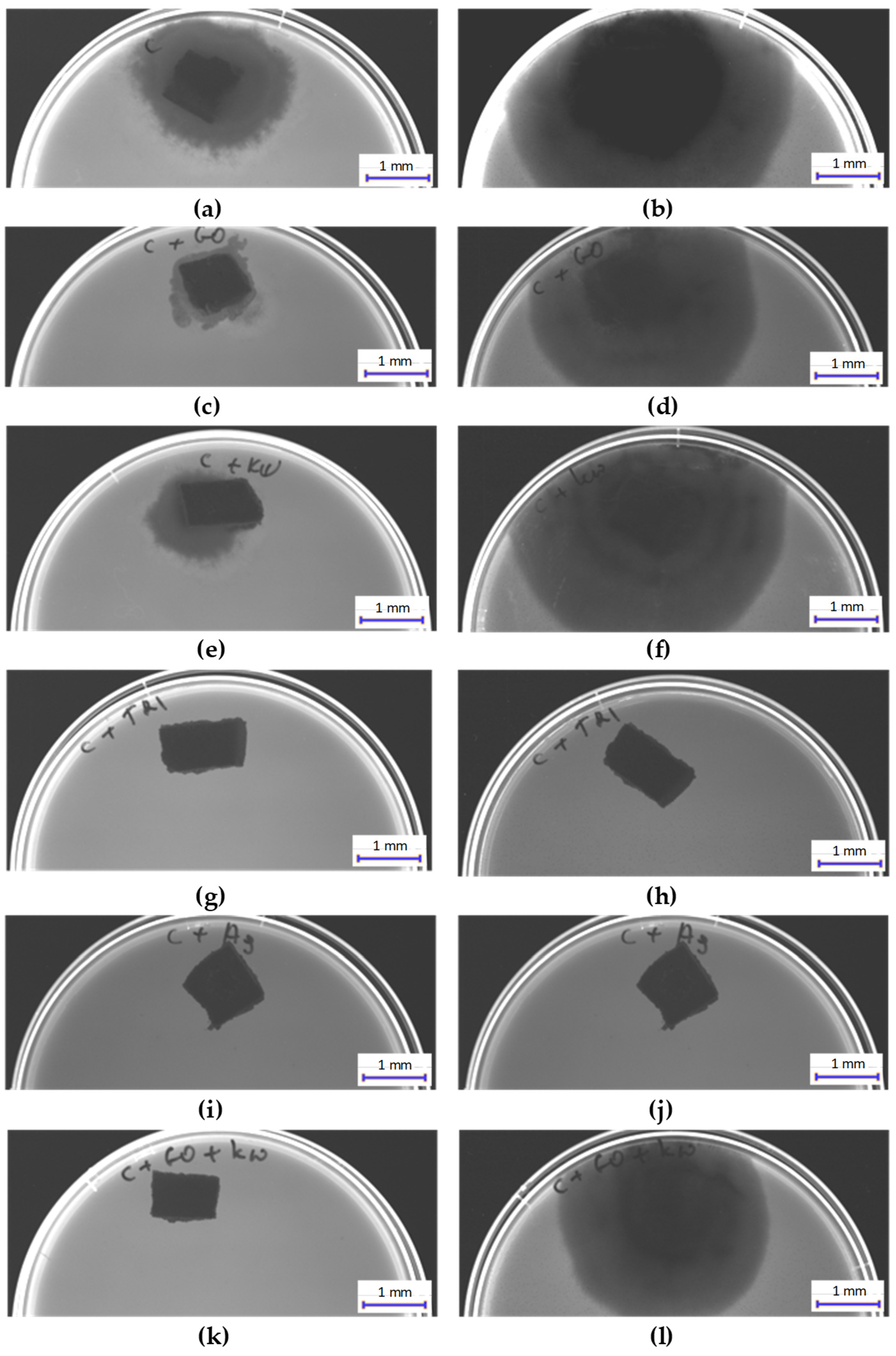 Materials 17 06288 g011 Materials 17 06288 g011
