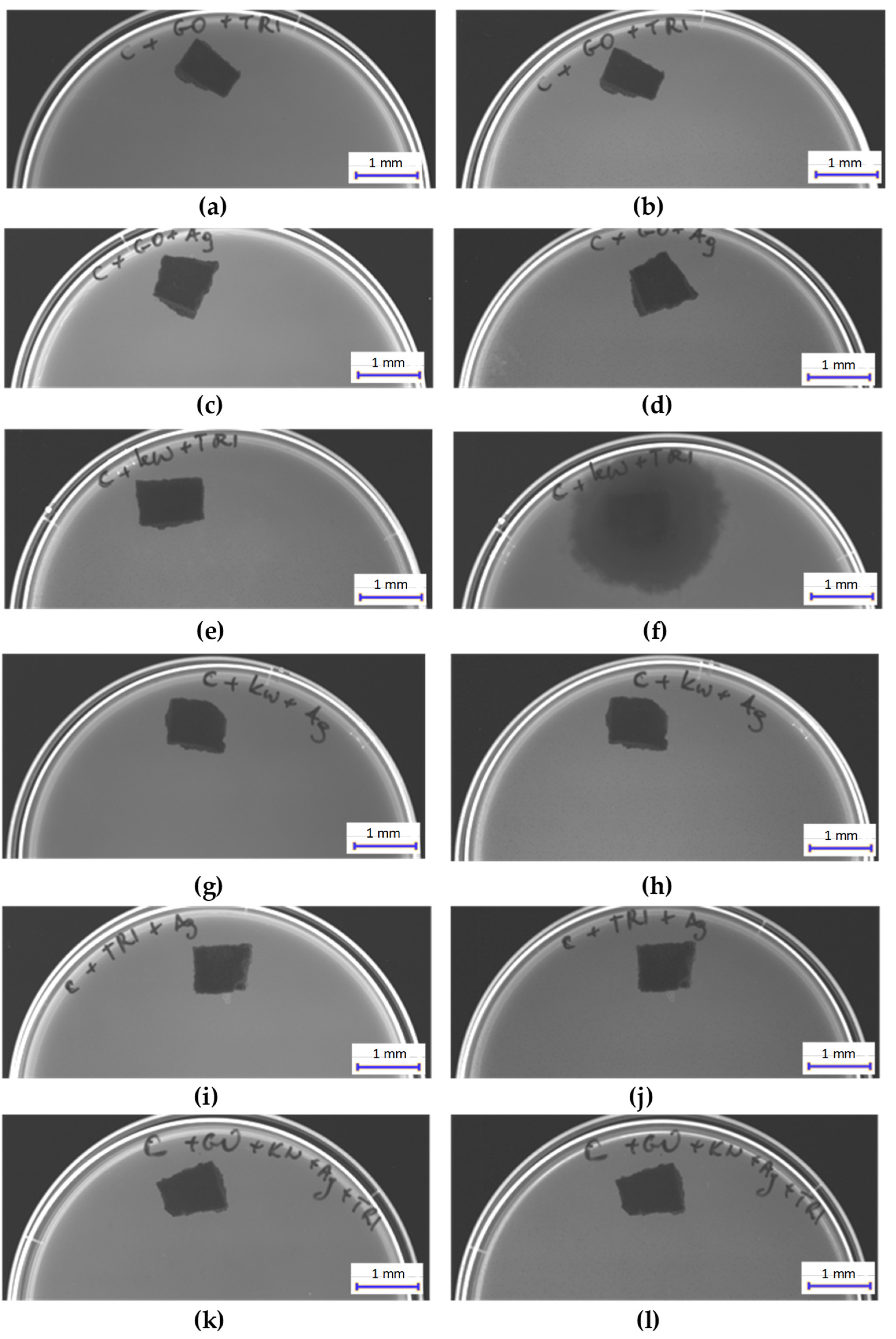 Materials 17 06288 g012 Materials 17 06288 g012