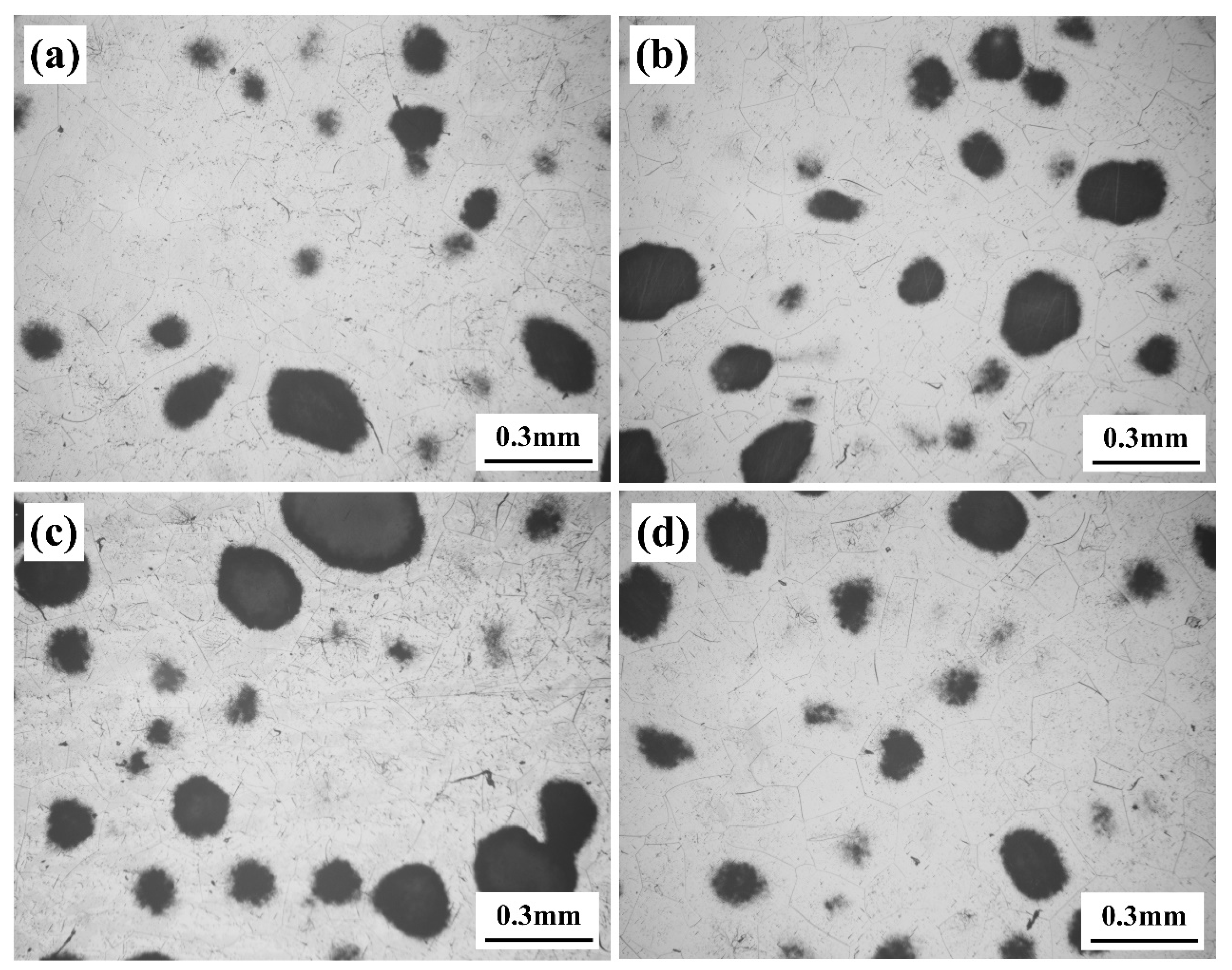 Materials 17 06294 g011