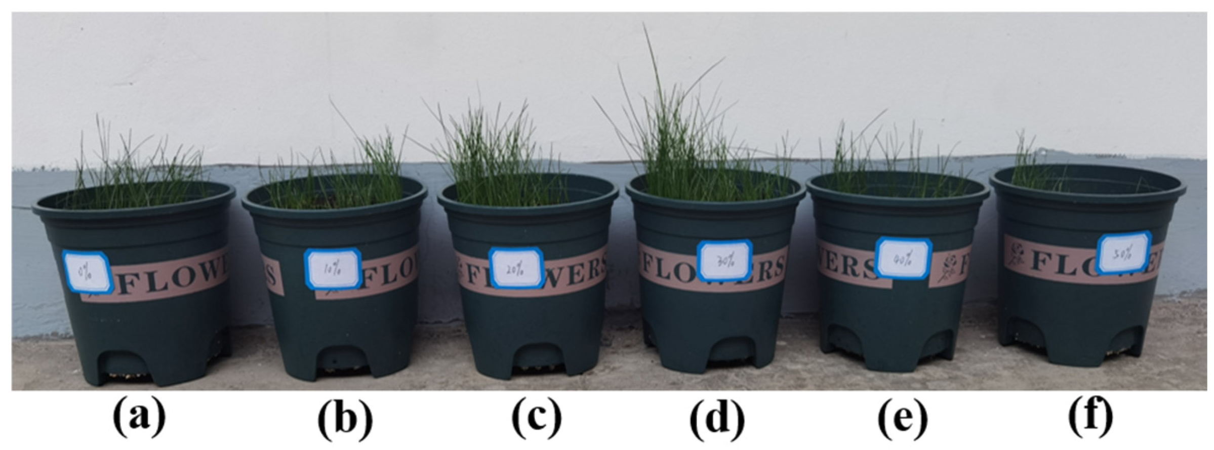 Materials 17 06295 g008