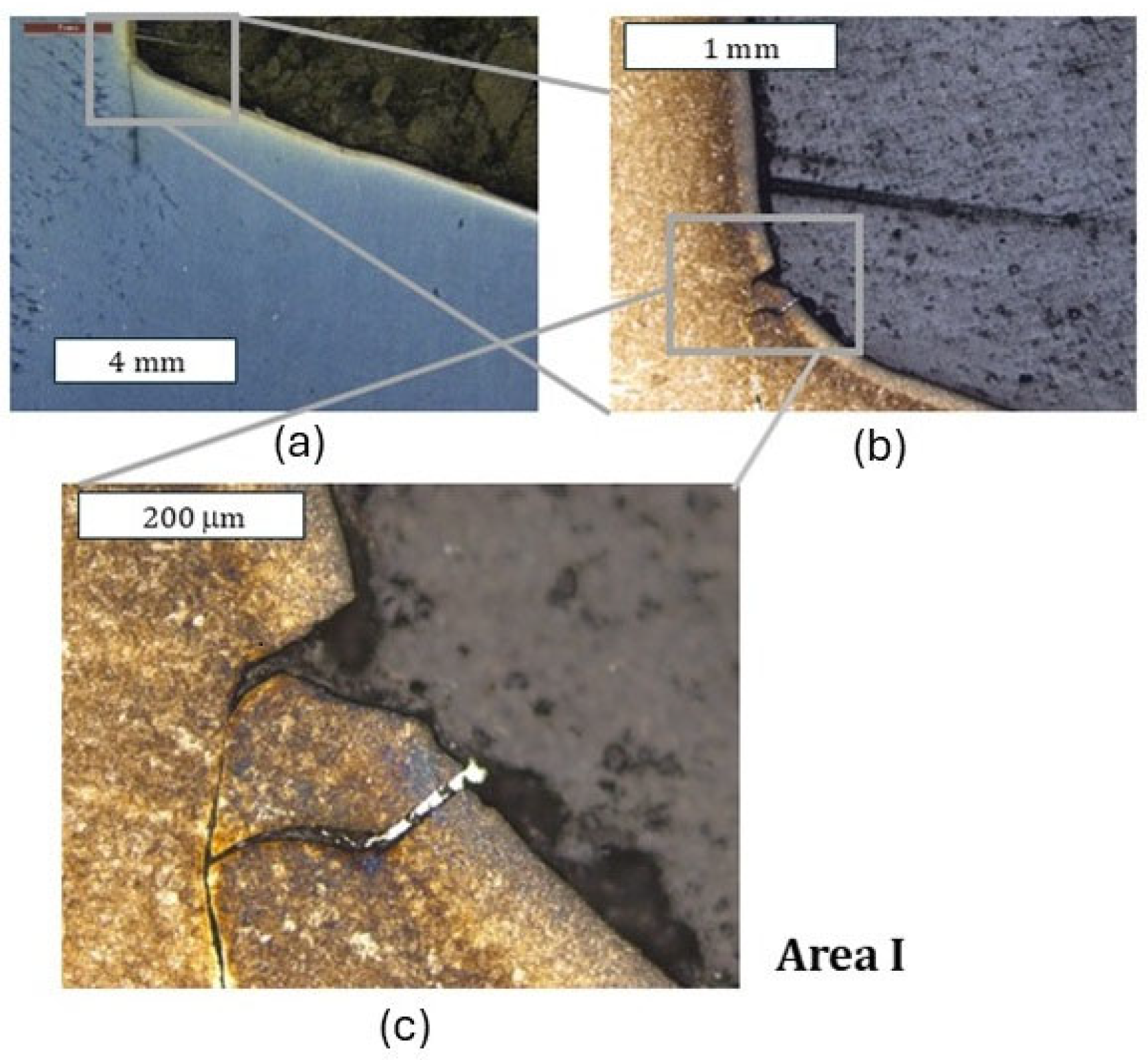 Materials 18 00013 g008