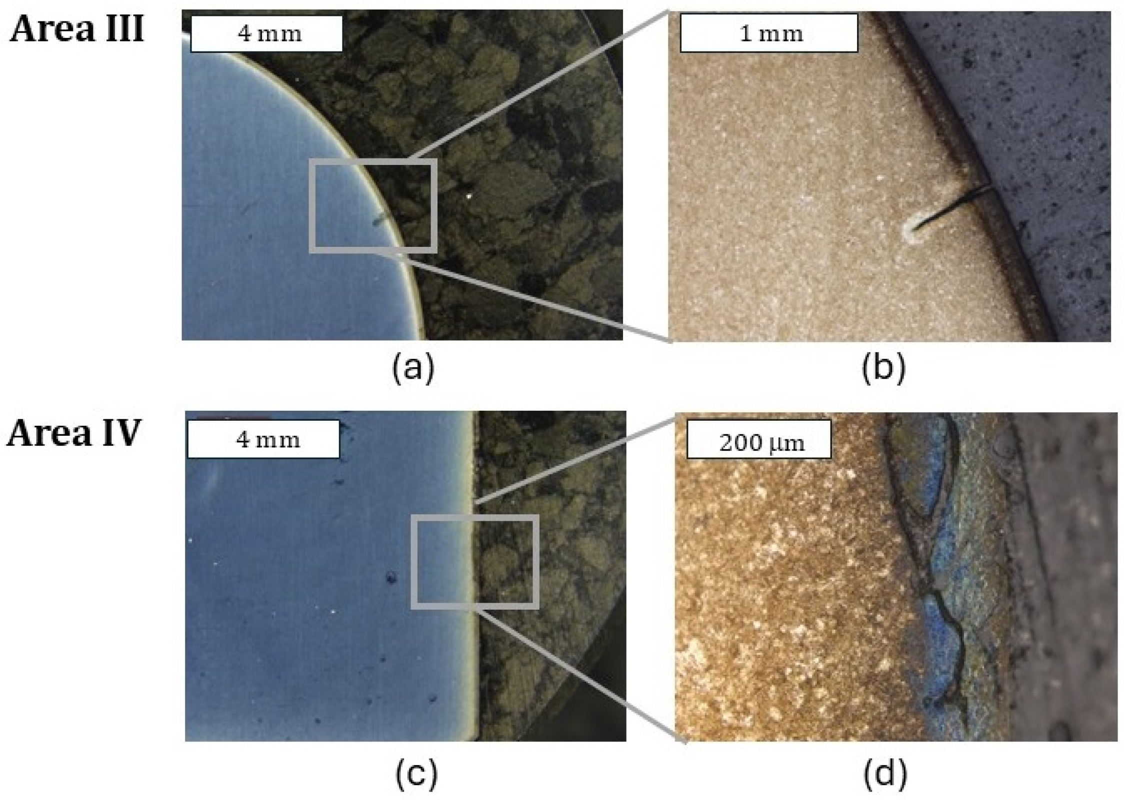 Materials 18 00013 g010