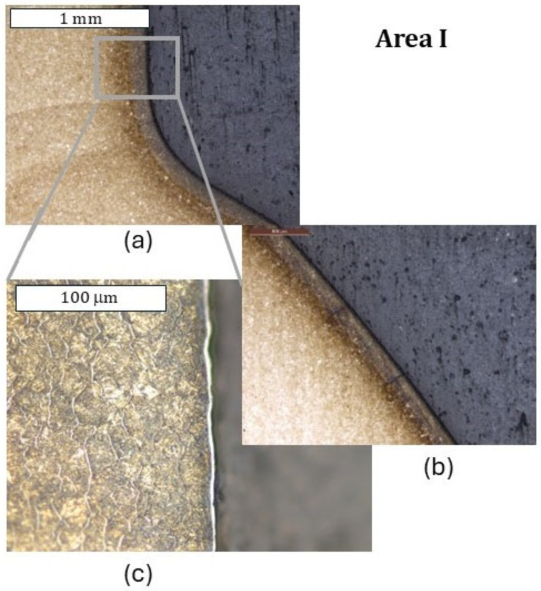 Materials 18 00013 g011