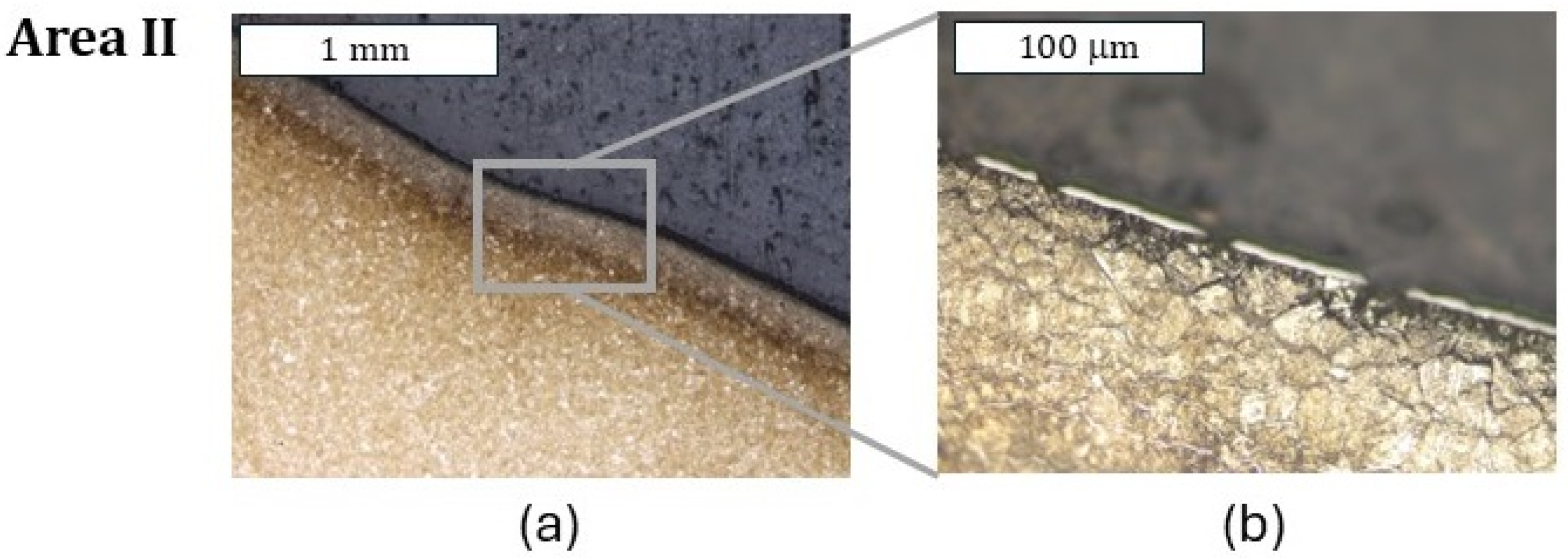 Materials 18 00013 g012