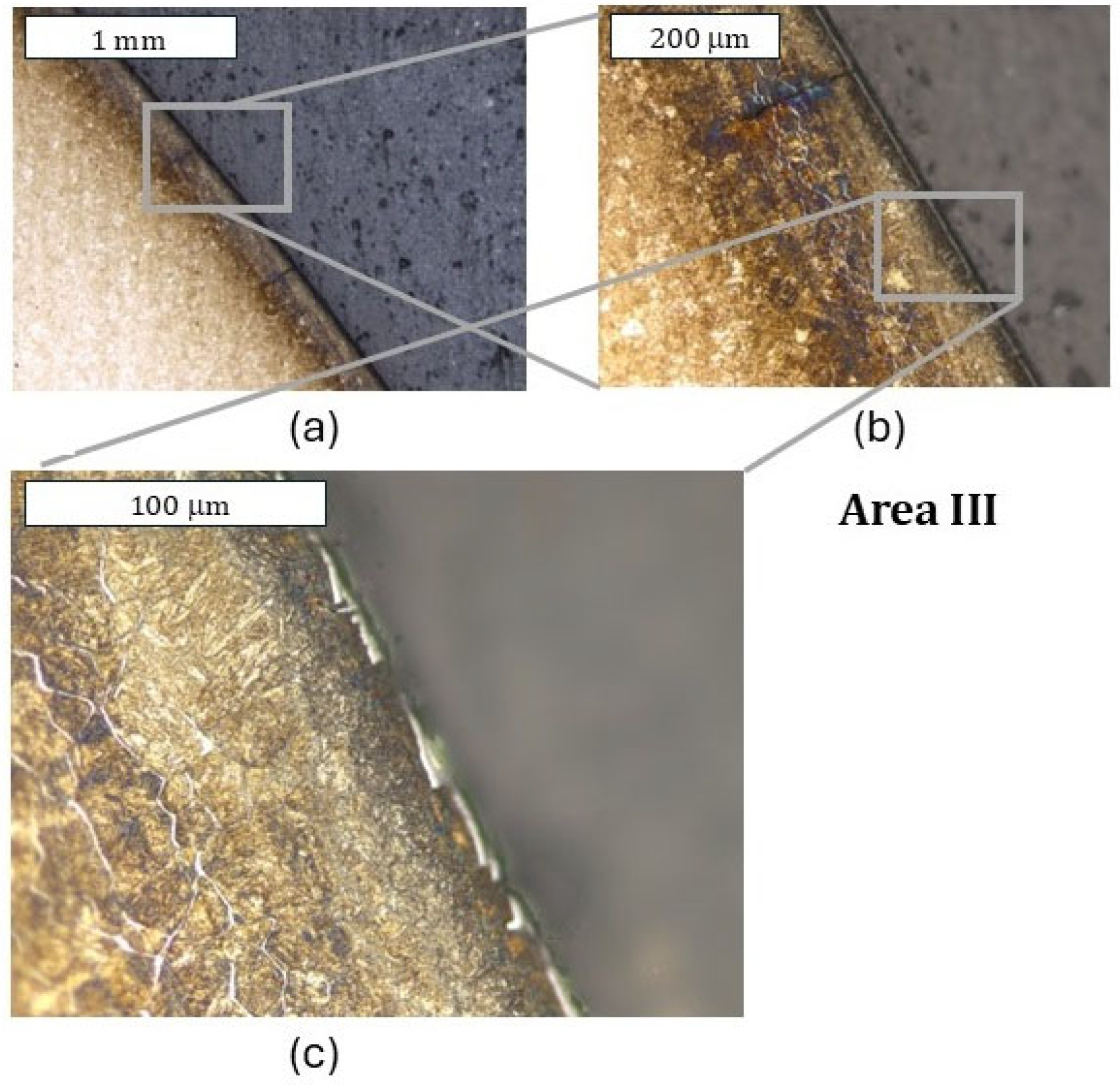 Materials 18 00013 g013