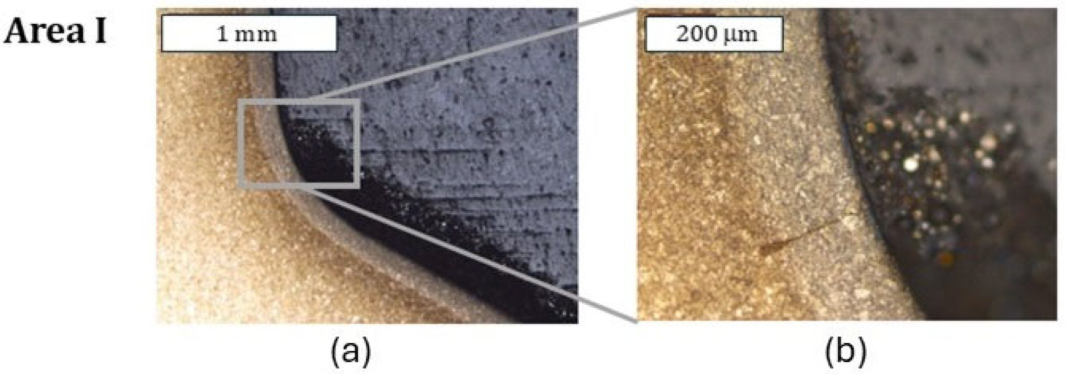 Materials 18 00013 g015