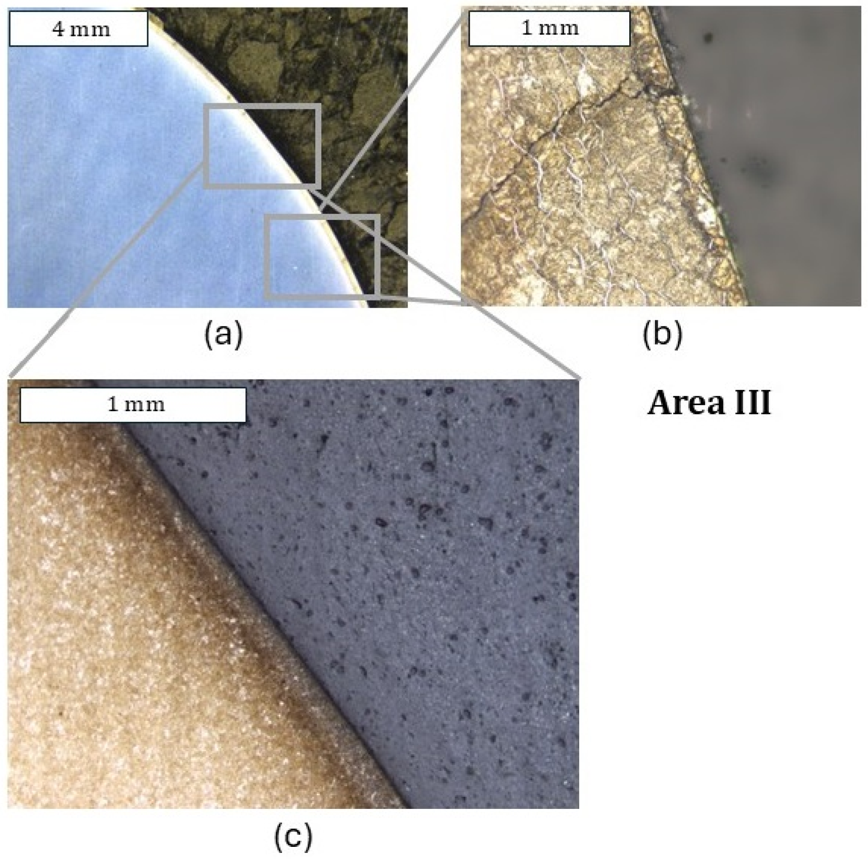 Materials 18 00013 g017