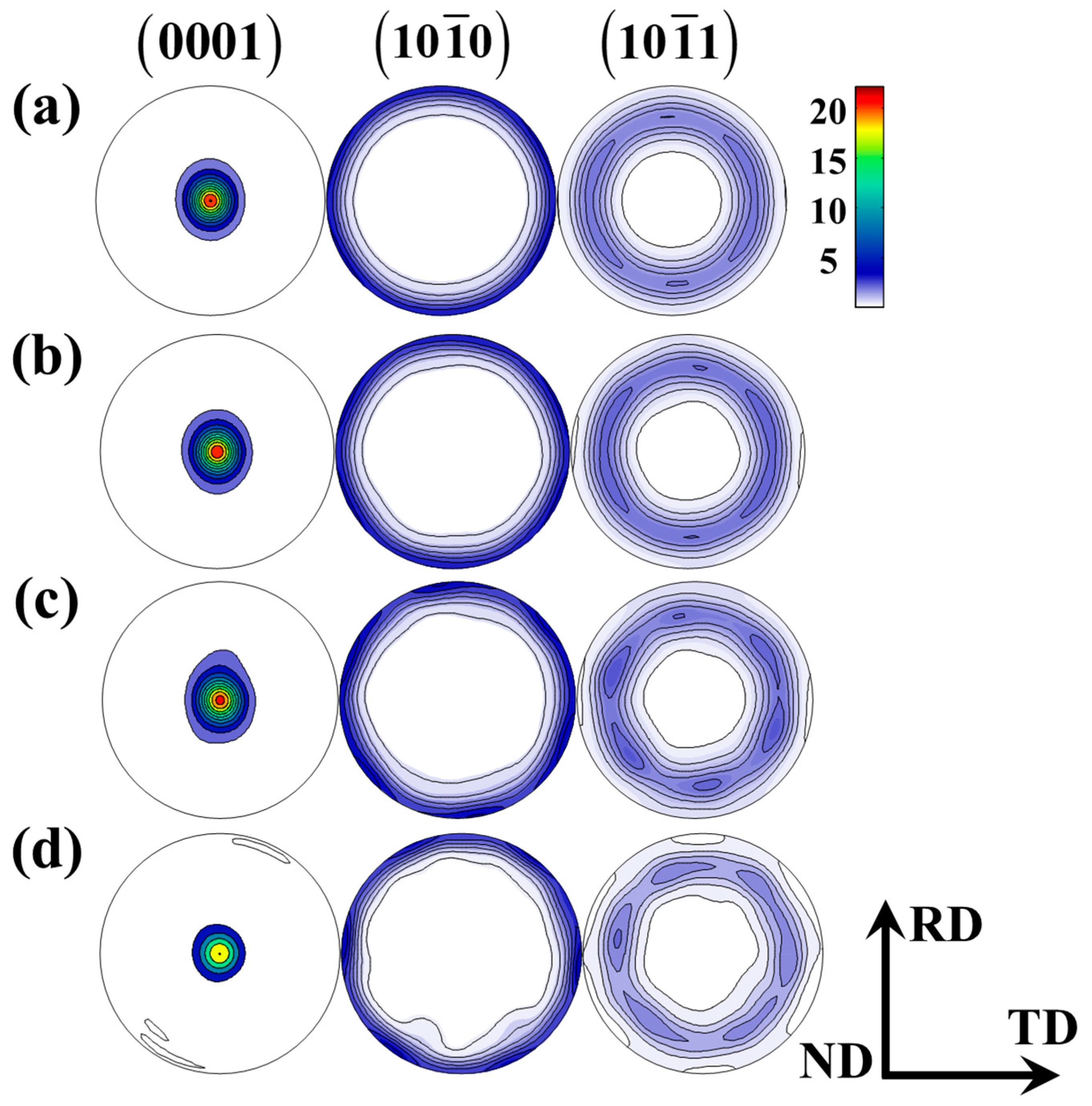 Crystal Plasticity Simulation of Cyclic Behaviors of AZ31B