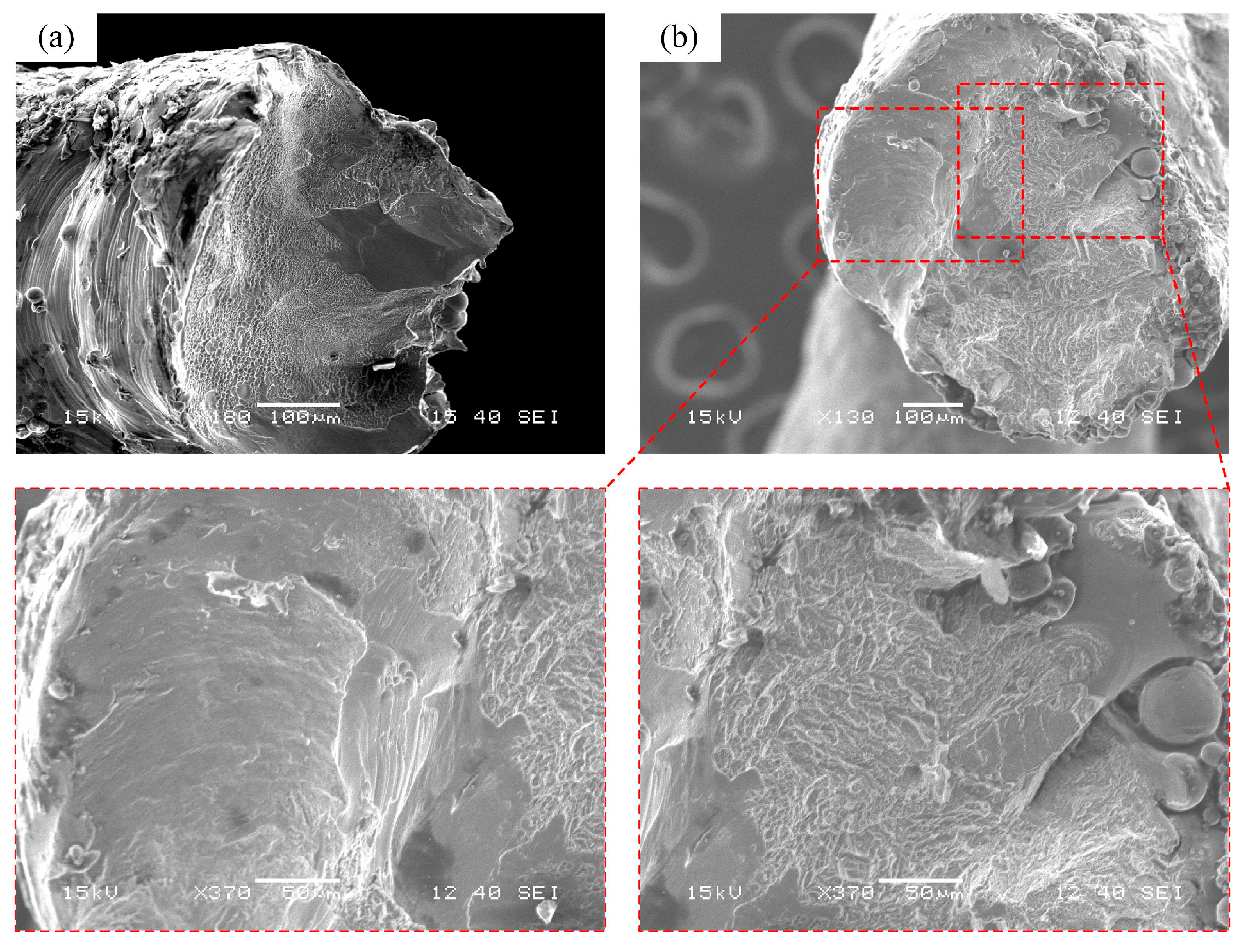 Materials 18 00029 g007