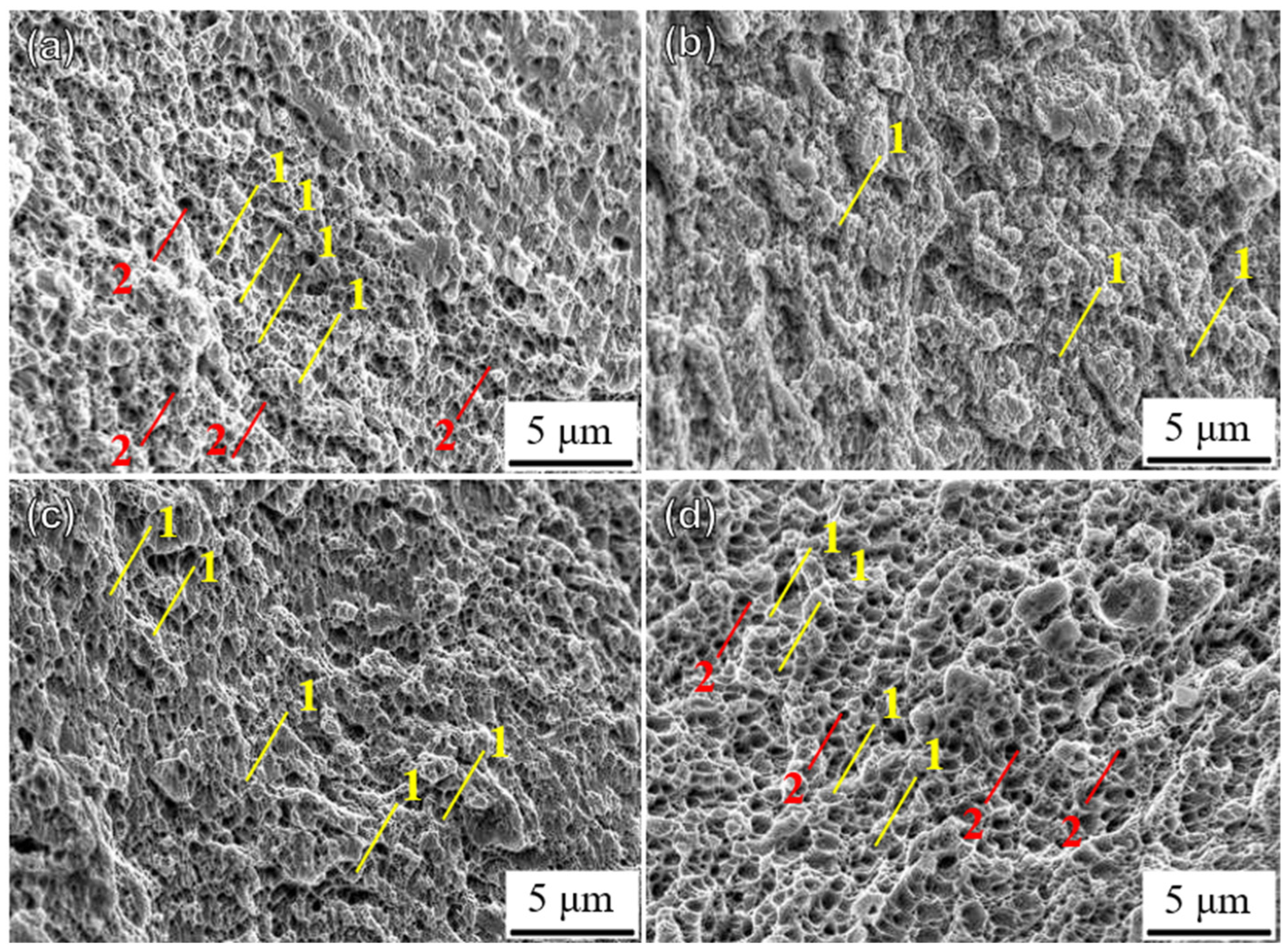 Materials 18 00032 g014
