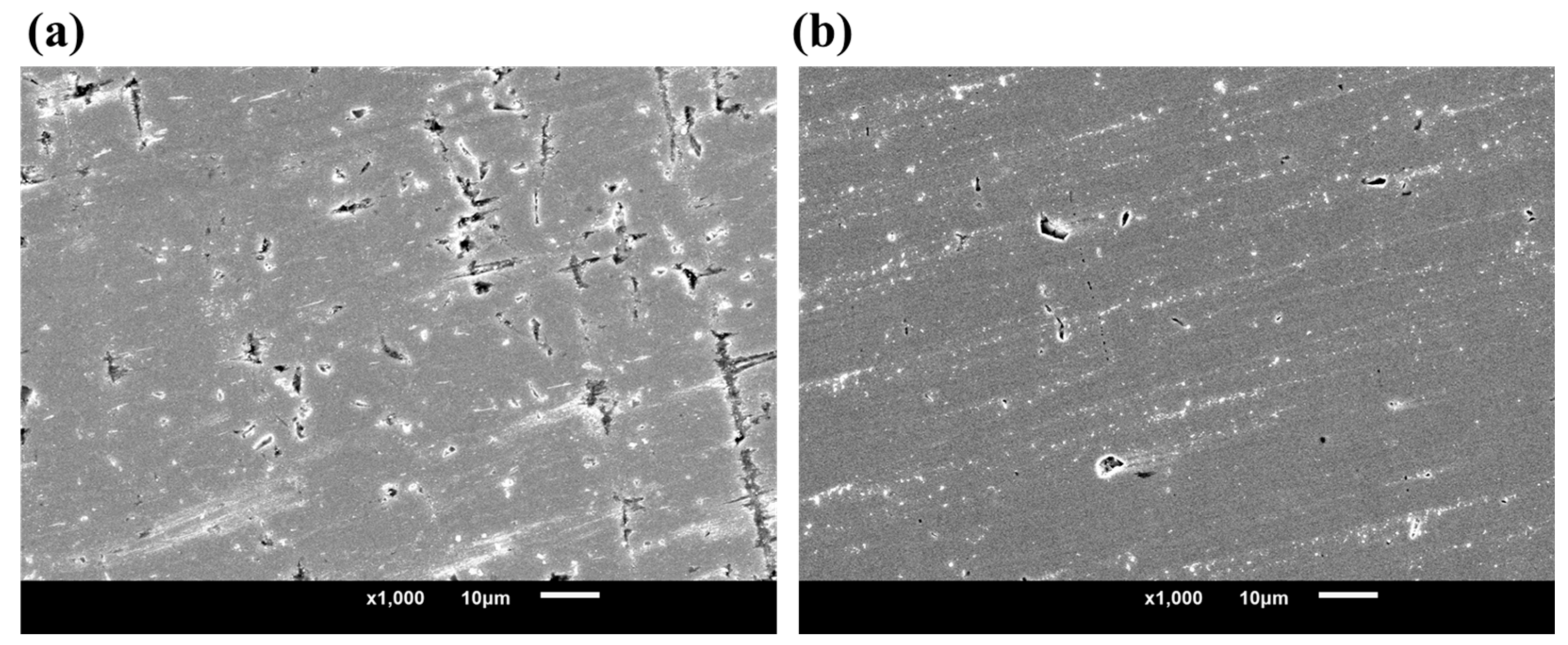 Materials 18 00038 g001