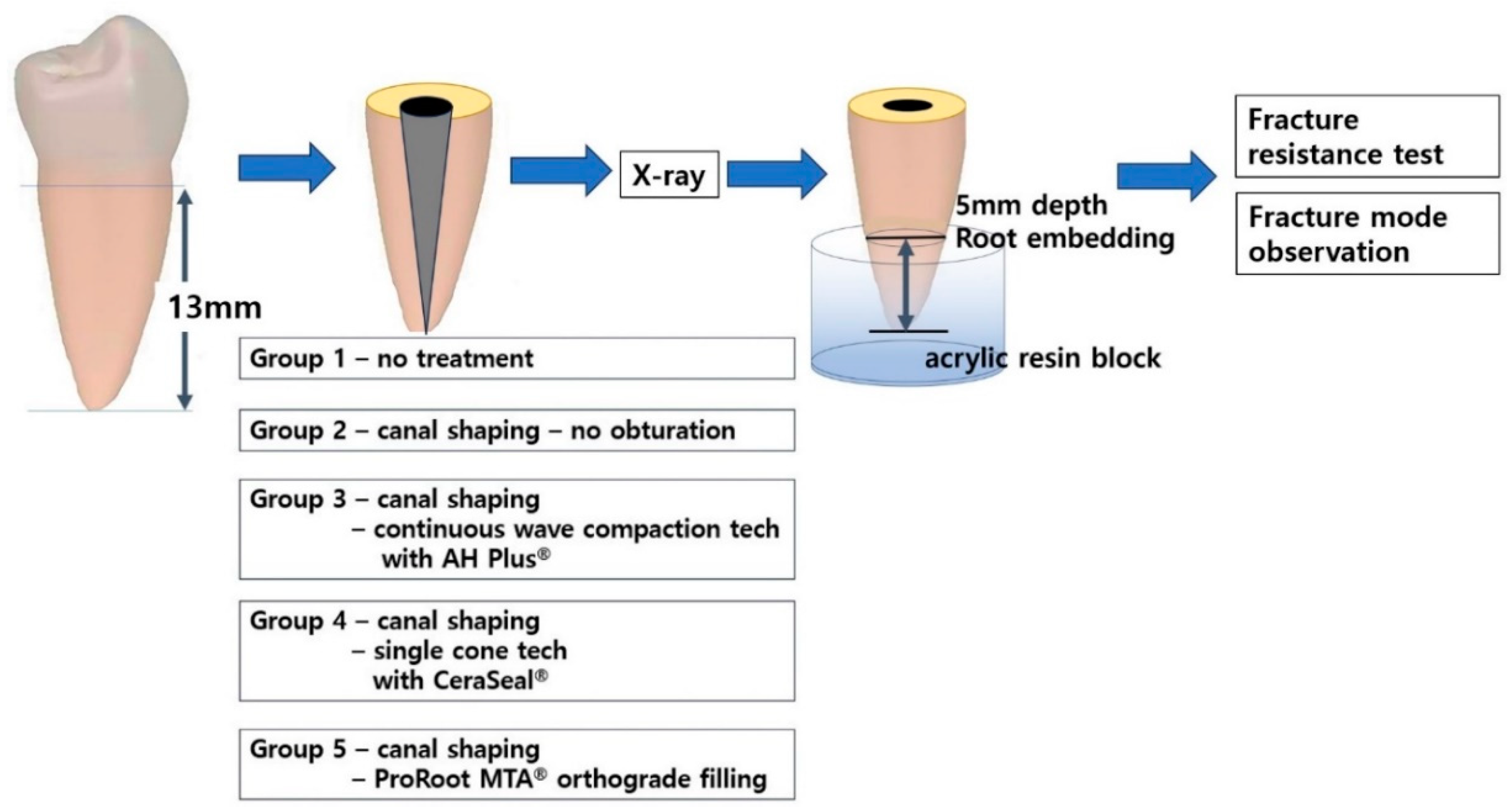 Materials 18 00040 g001