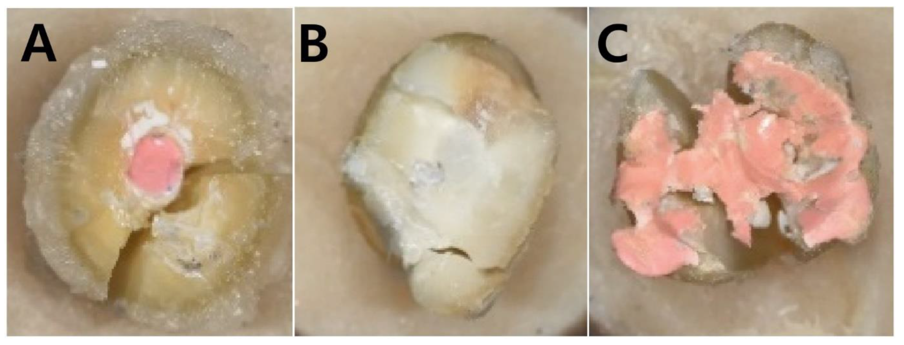 Materials 18 00040 g002