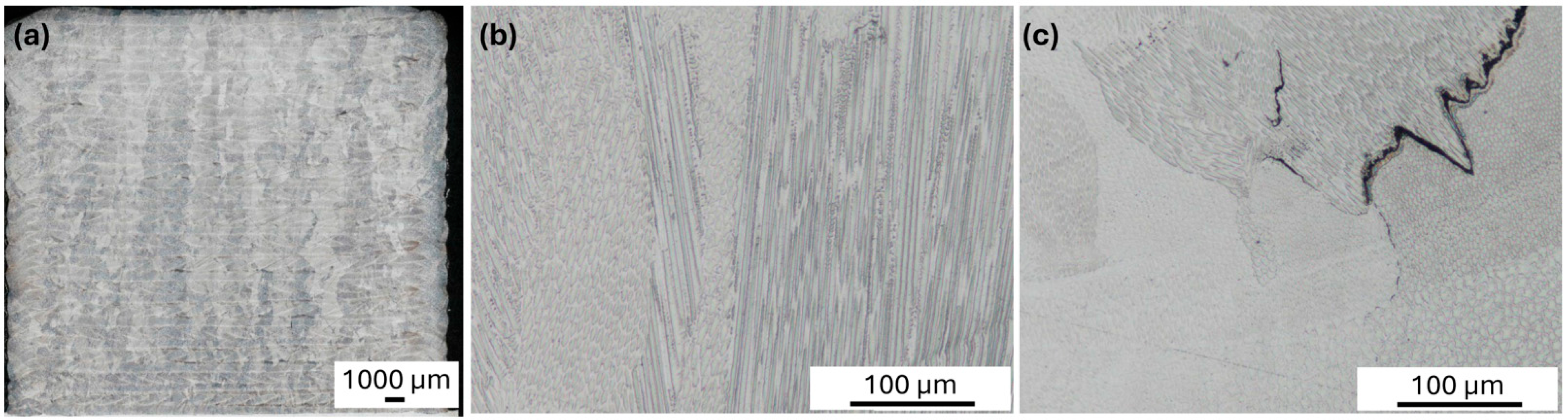 Materials 18 00042 g009