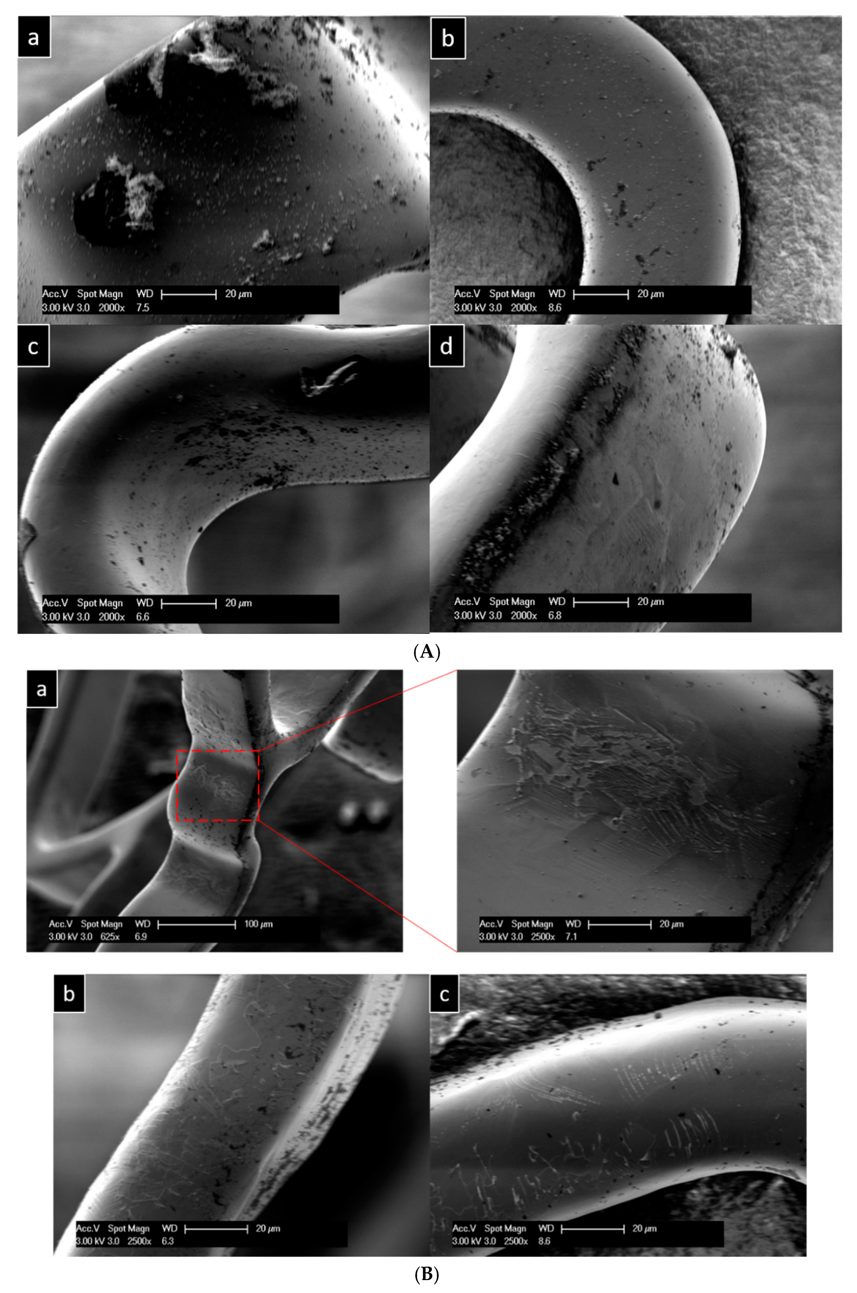 Materials 18 00046 g007a