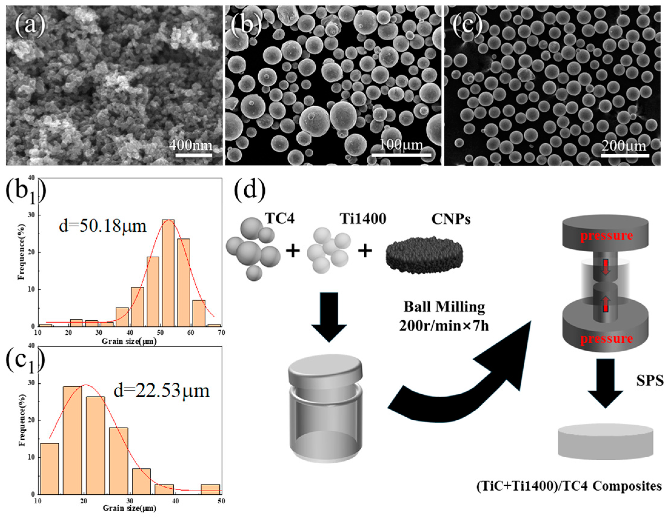 Materials 18 00051 g001