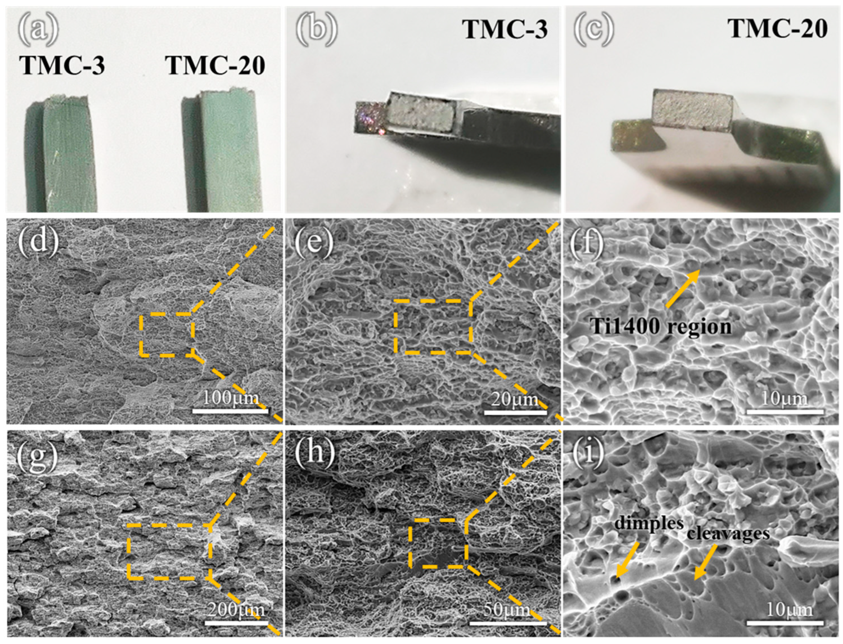 Materials 18 00051 g006