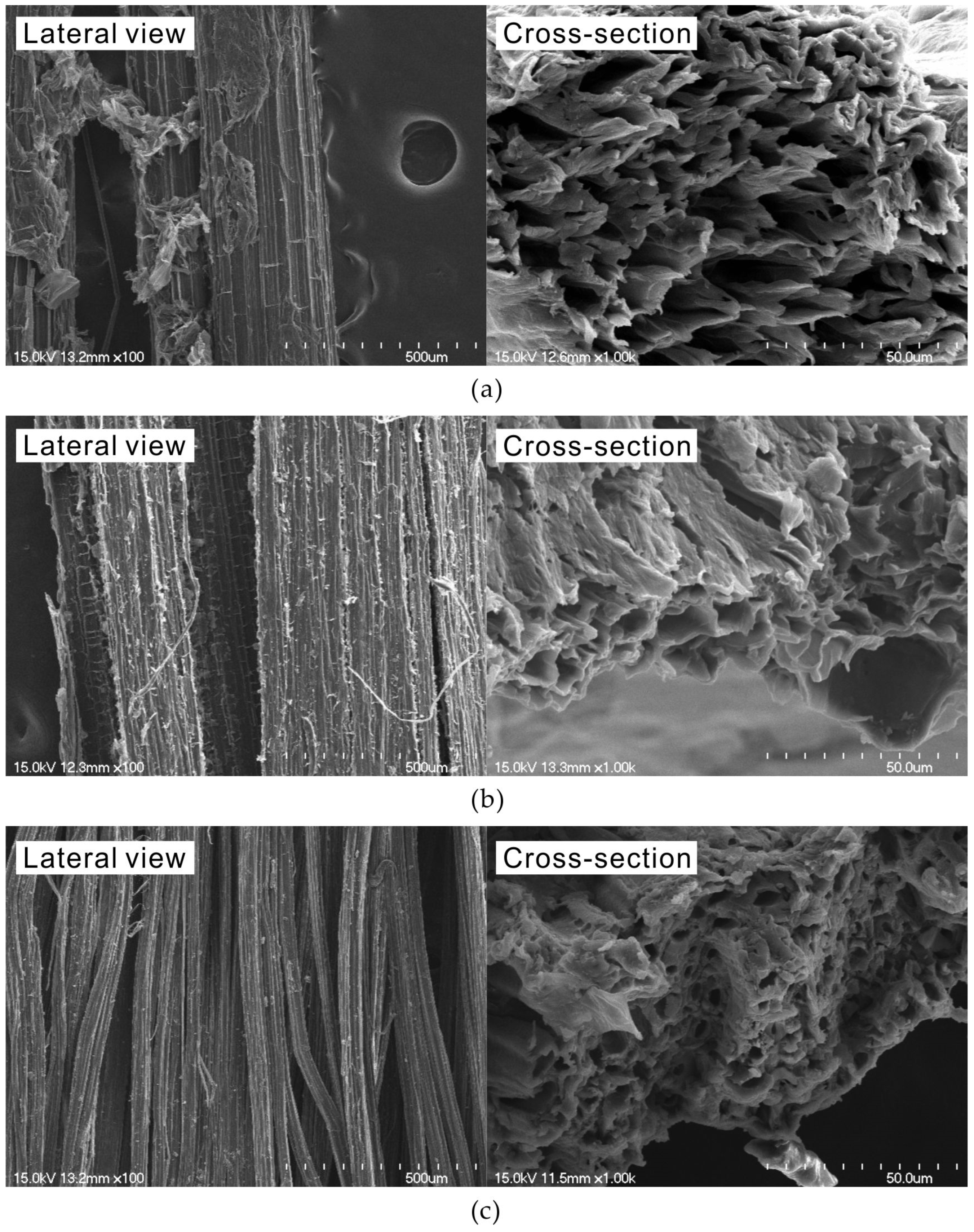 Materials 18 00059 g003
