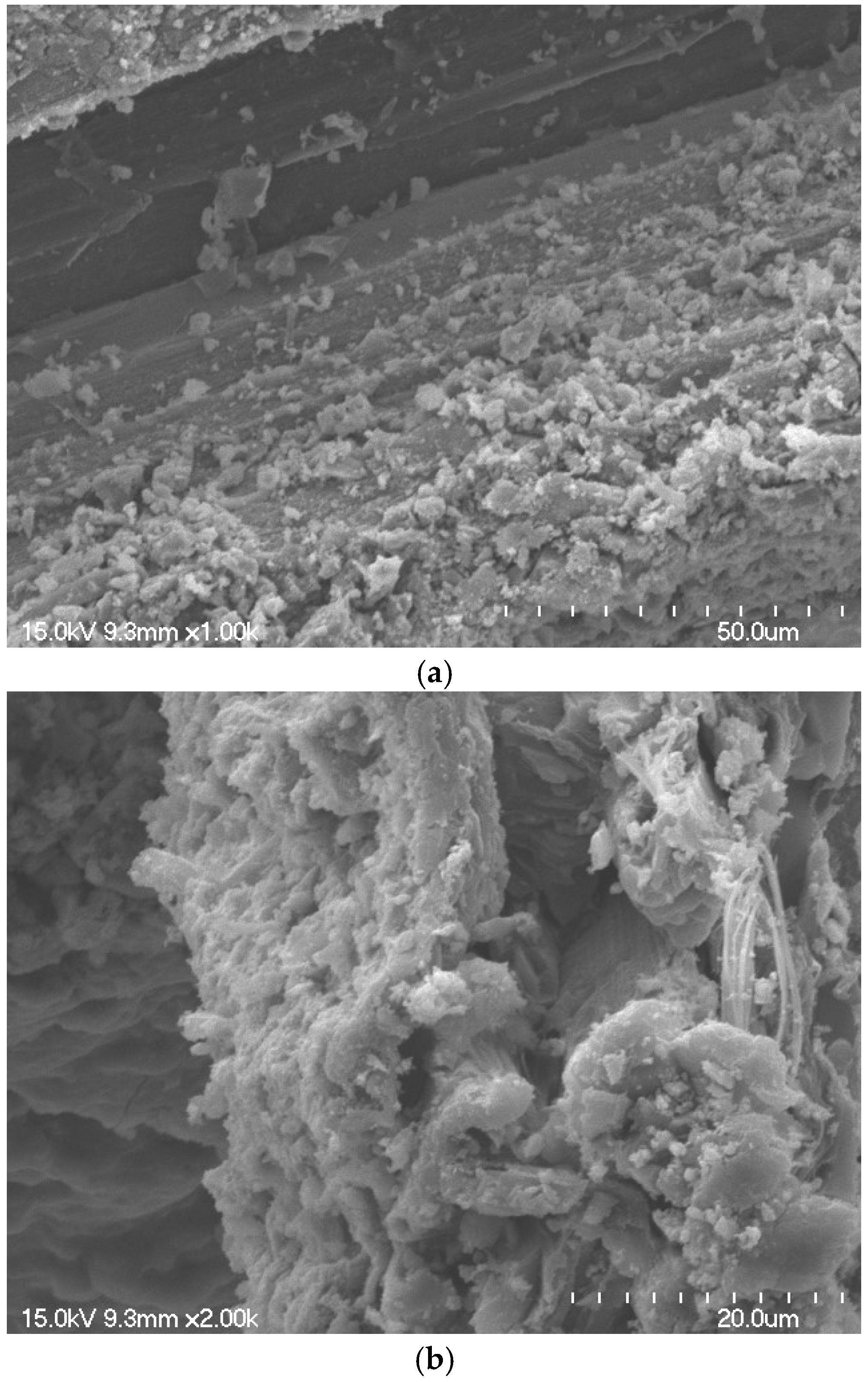 Materials 18 00059 g009