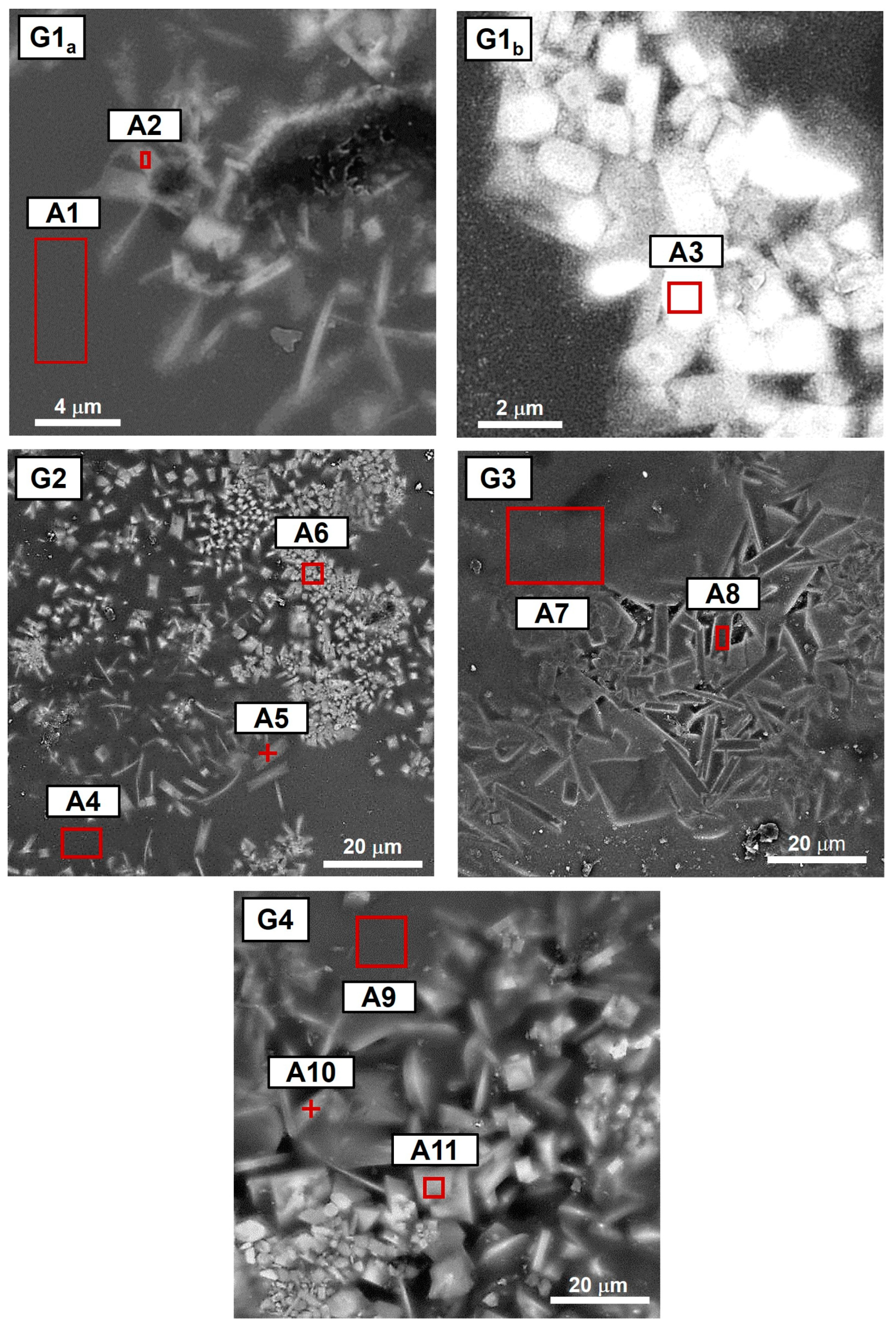 Materials 18 00060 g005