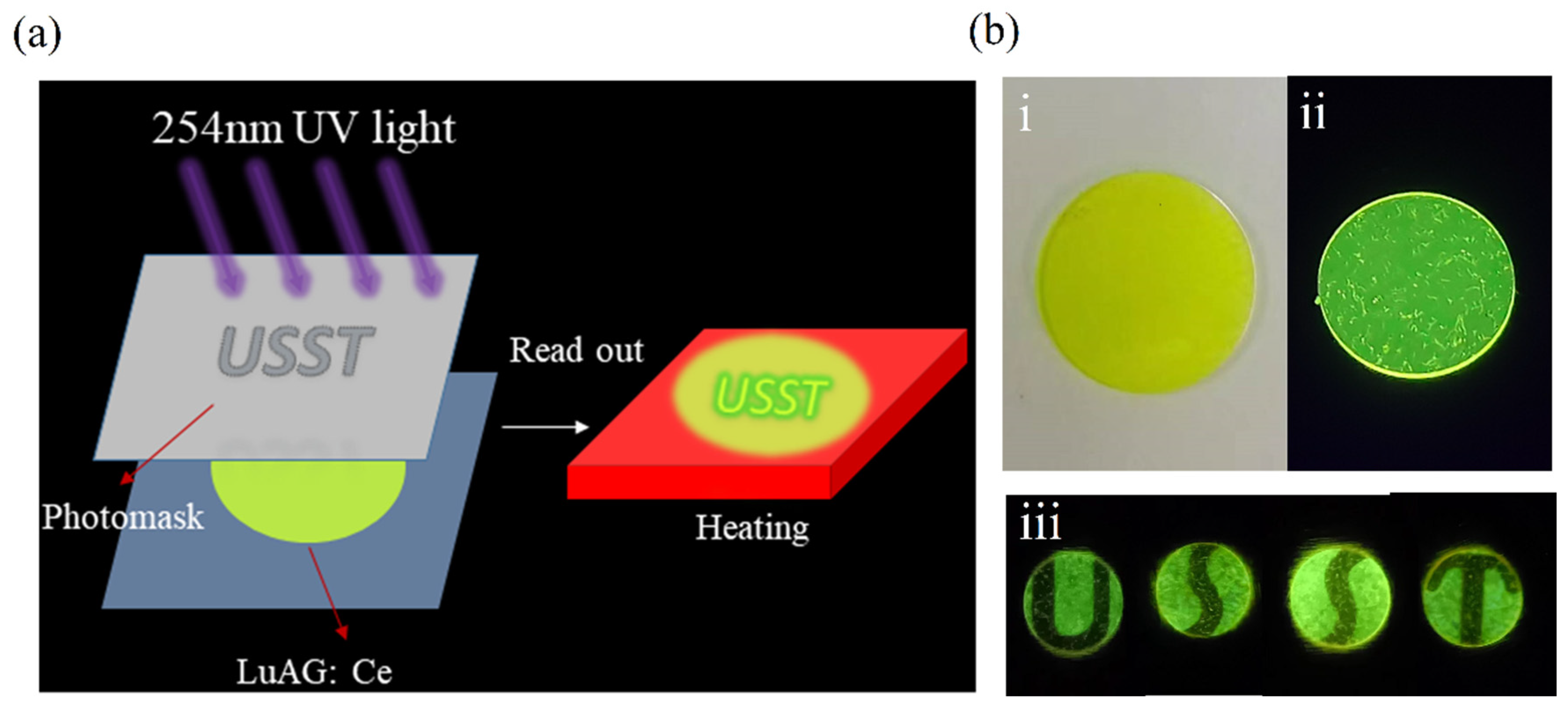 Materials 18 00063 g004
