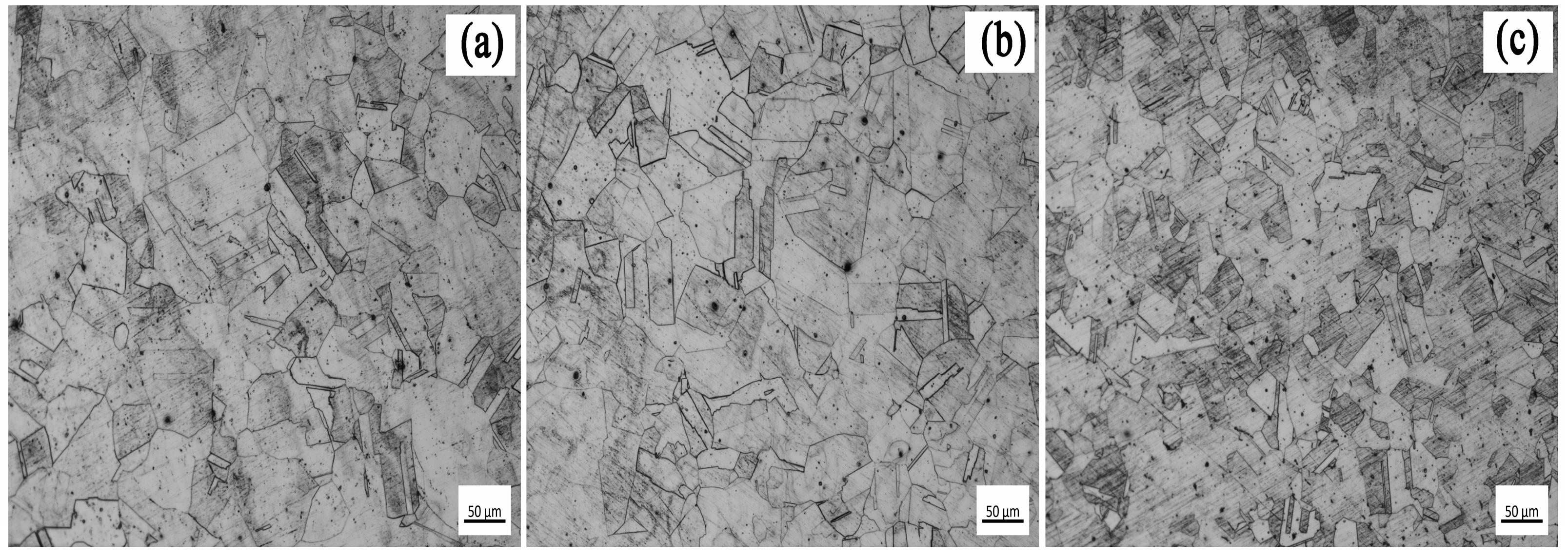 Materials 18 00069 g001