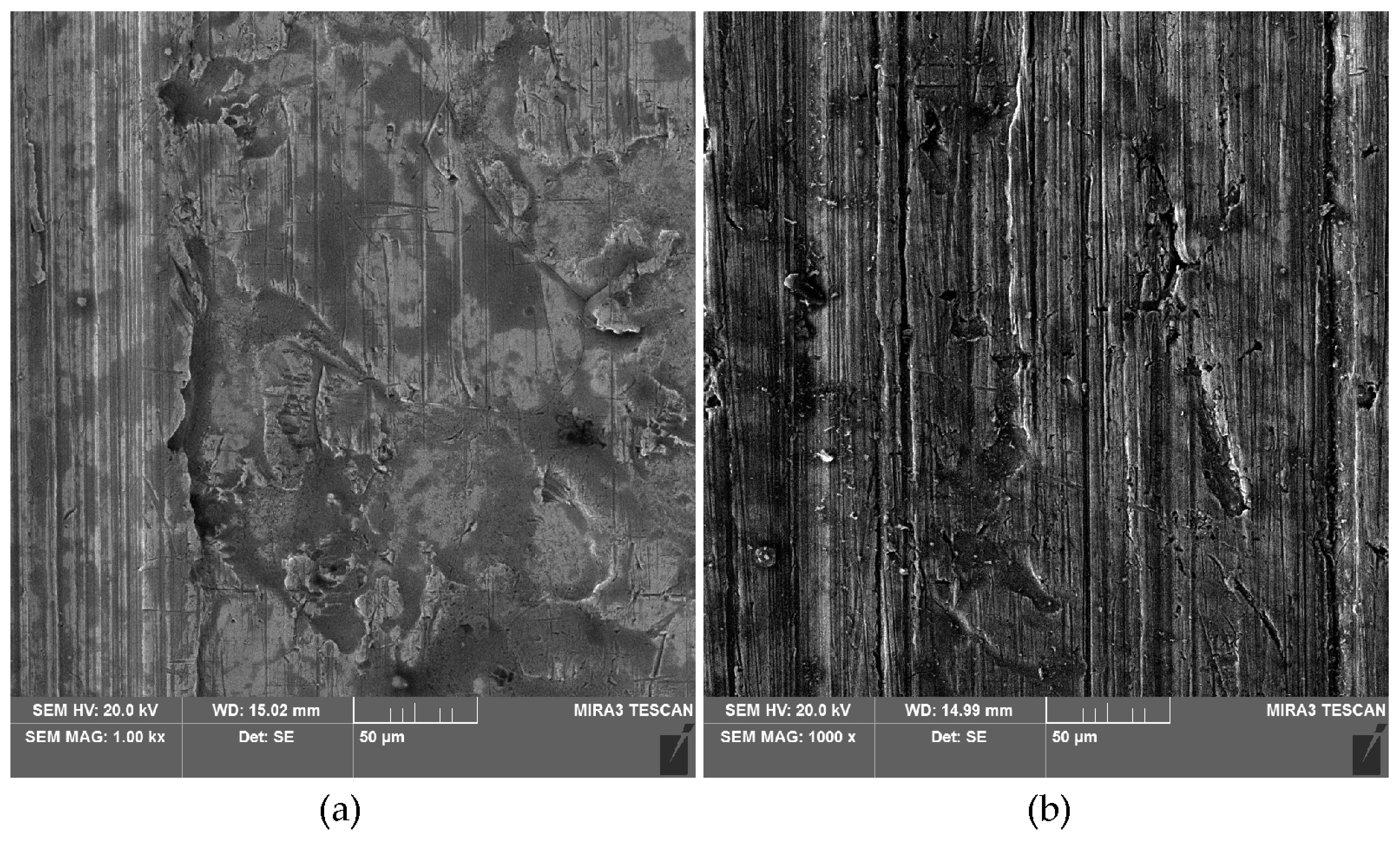 Materials 18 00073 g013