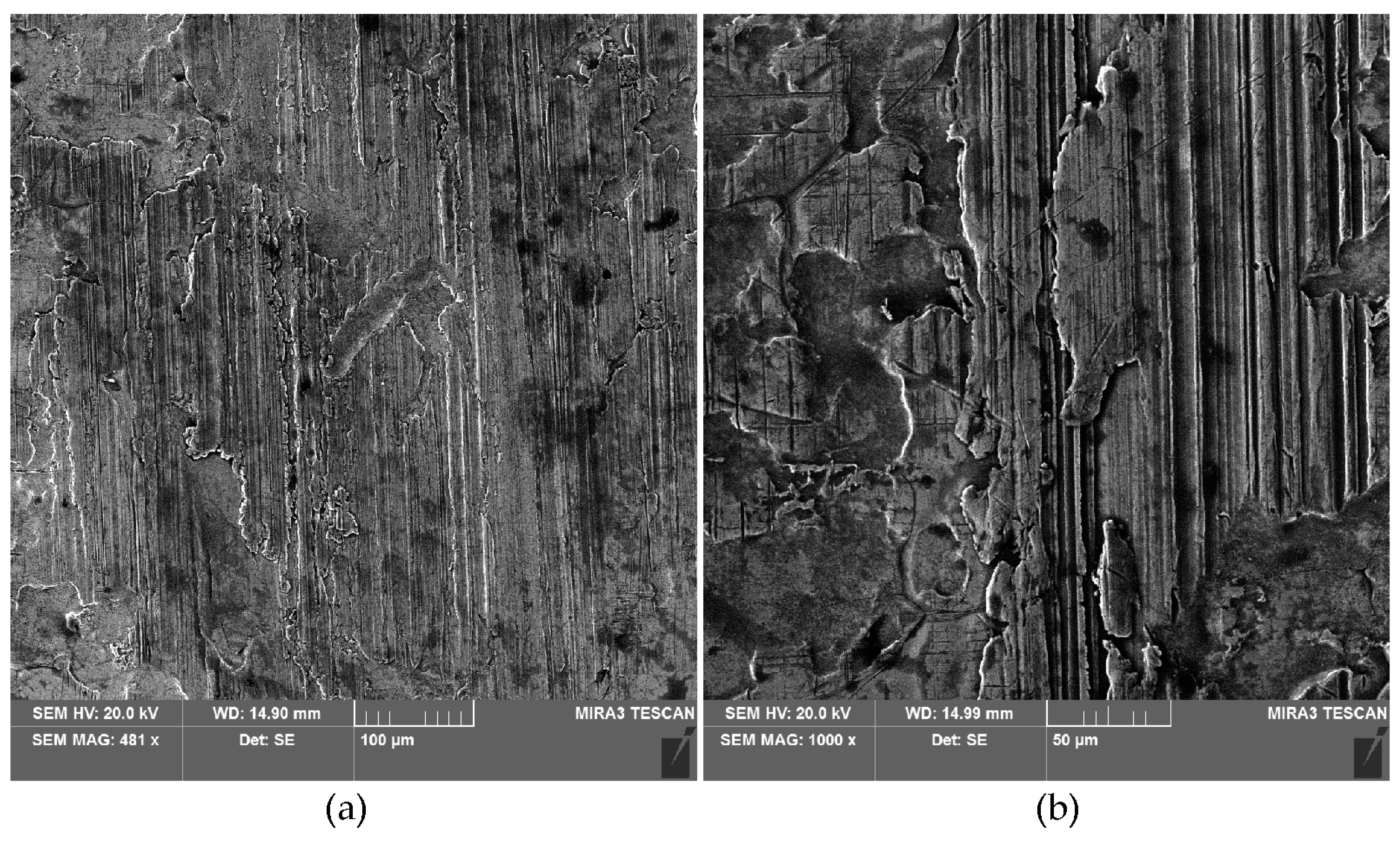 Materials 18 00073 g015