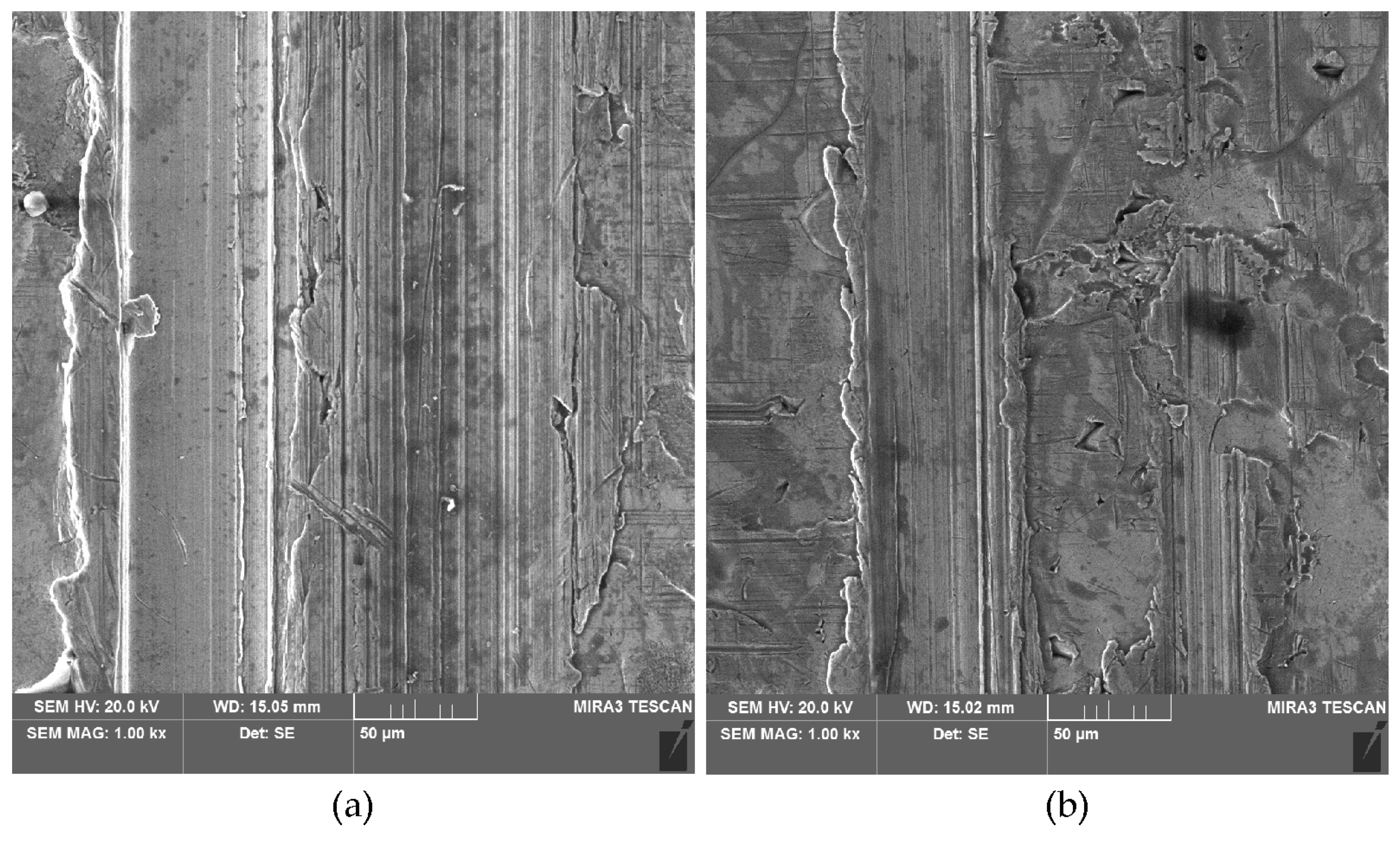 Materials 18 00073 g016
