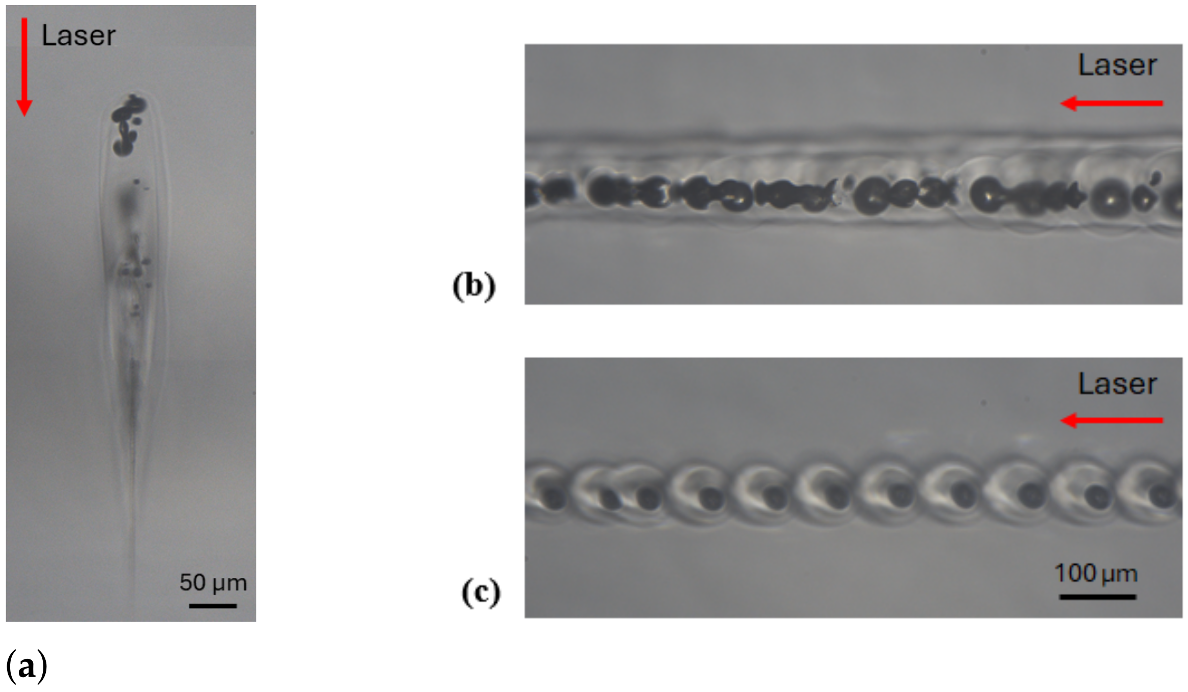 Materials 18 00078 g007