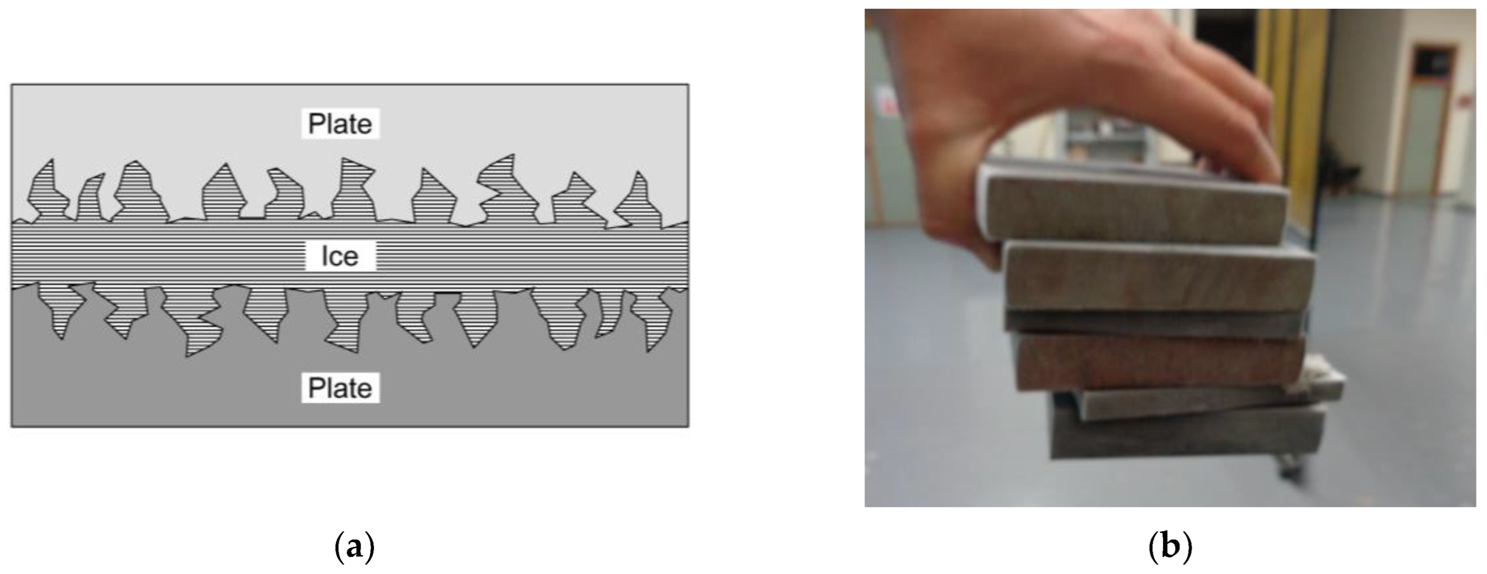 Materials 18 00084 g013