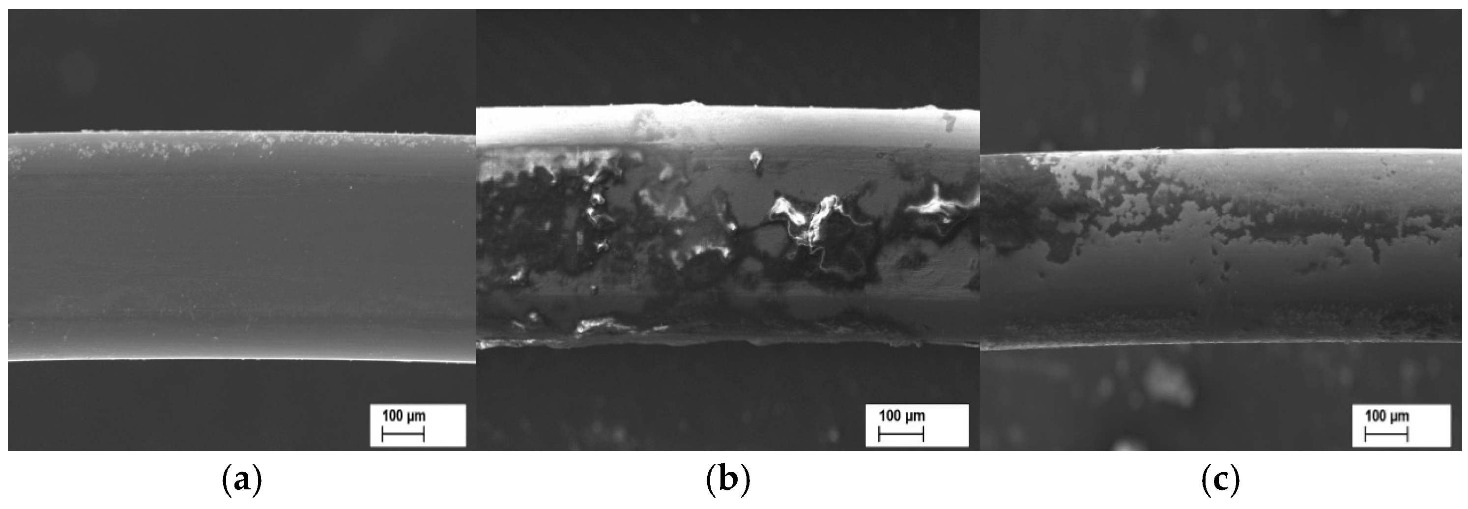 Materials 18 00092 g001