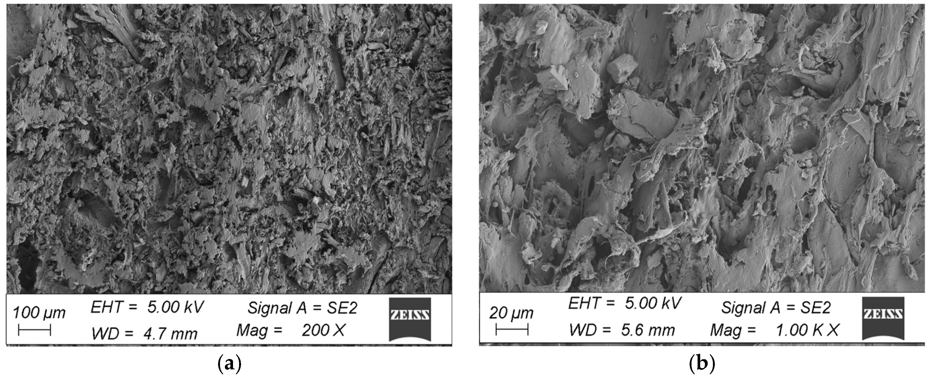 Materials 18 00097 g009 Materials 18 00097 g009