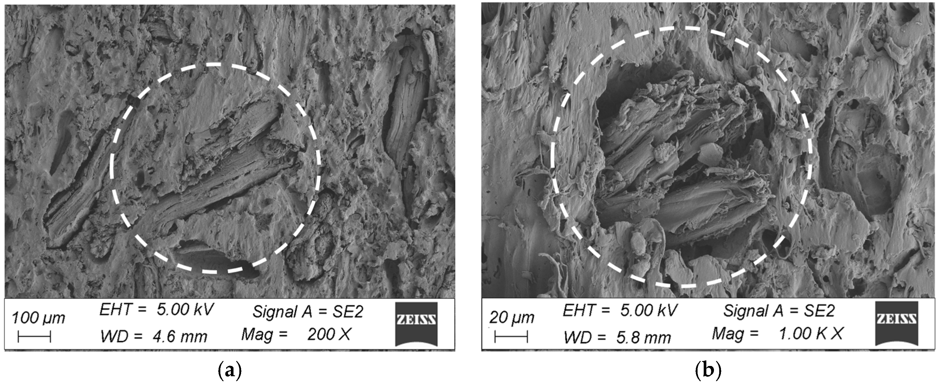 Materials 18 00097 g010 Materials 18 00097 g010